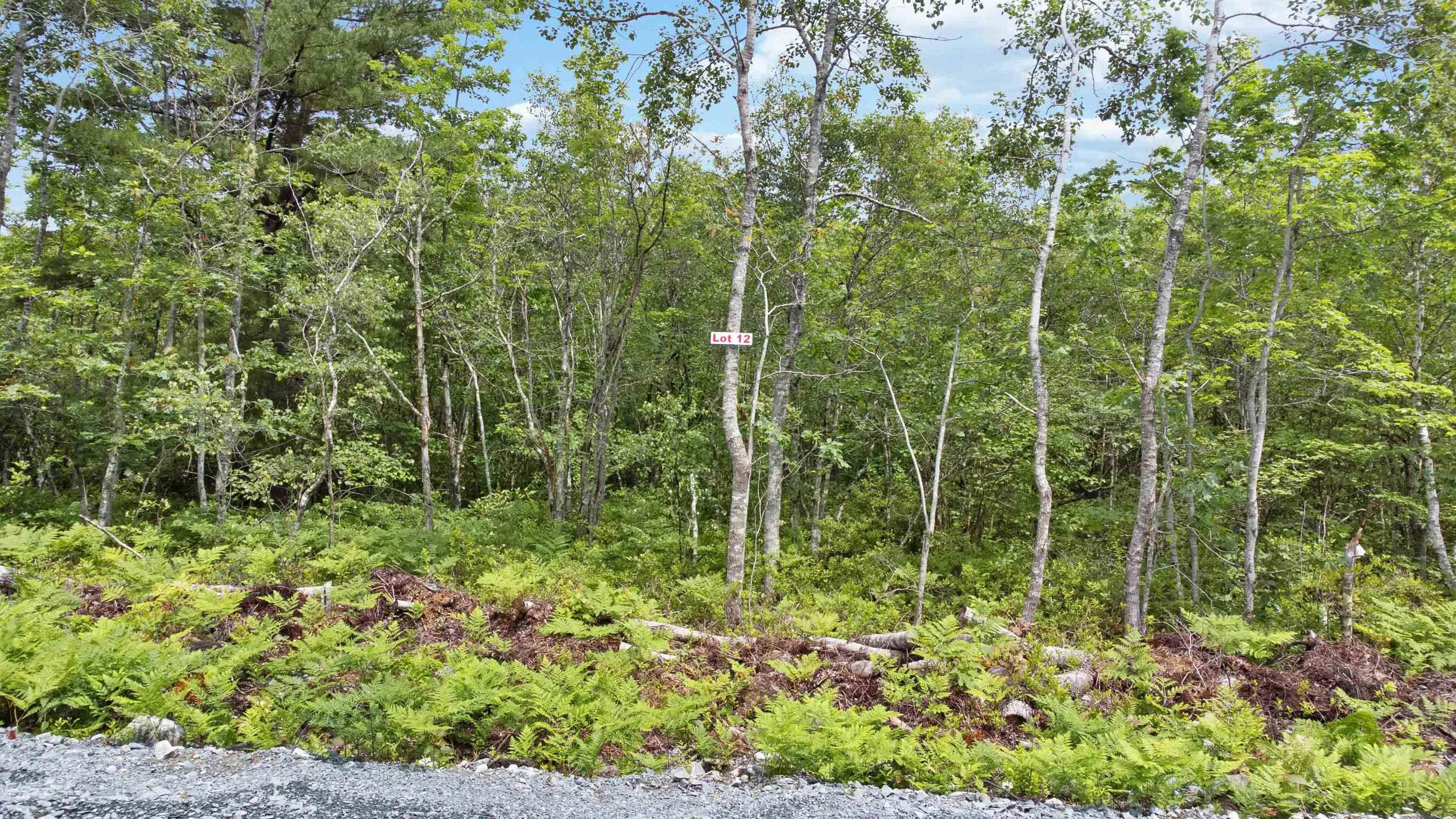 $21,000.00: Lot 12 Maple Ridge Drive, White Point