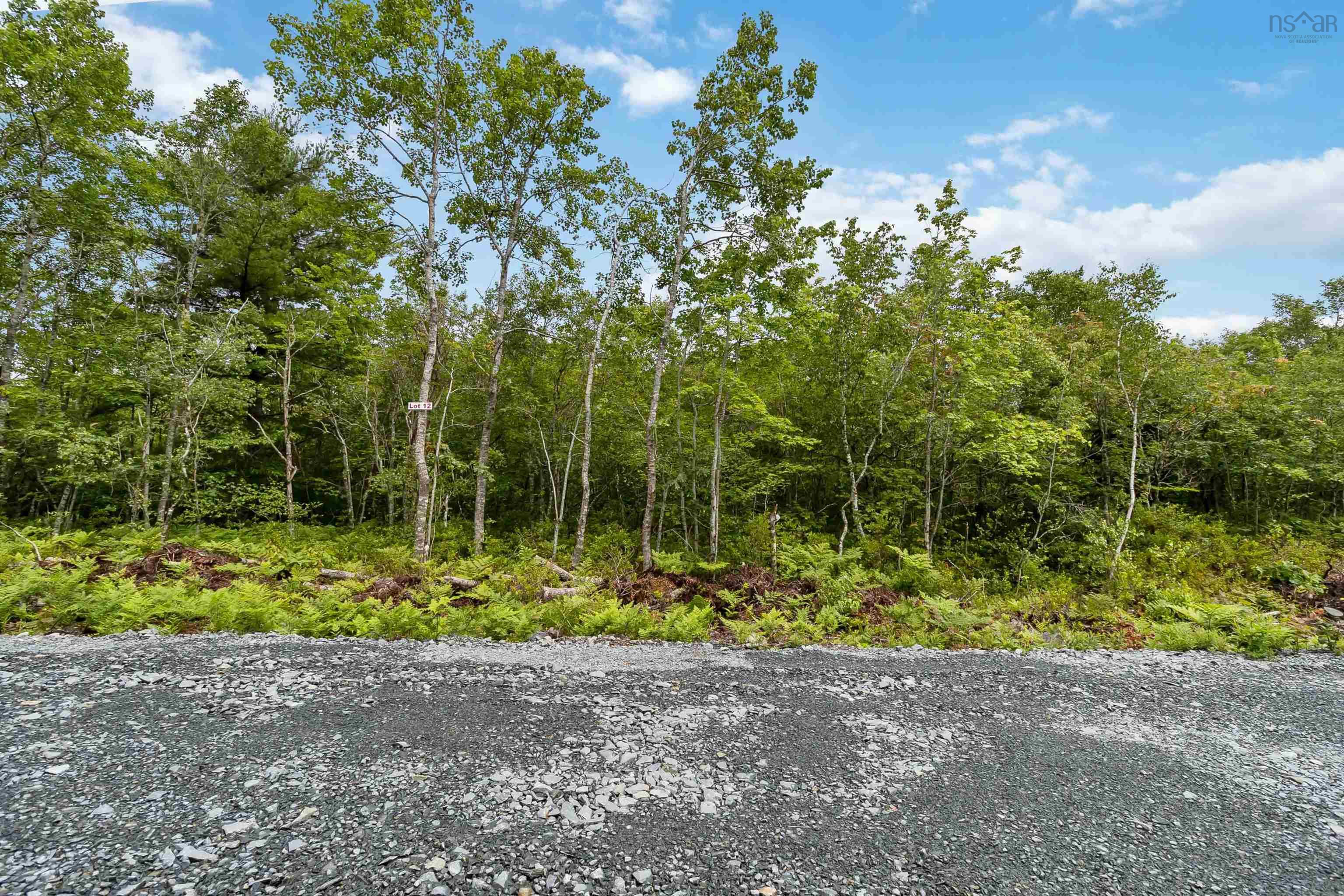 $21,000.00: Lot 12 Maple Ridge Drive, White Point