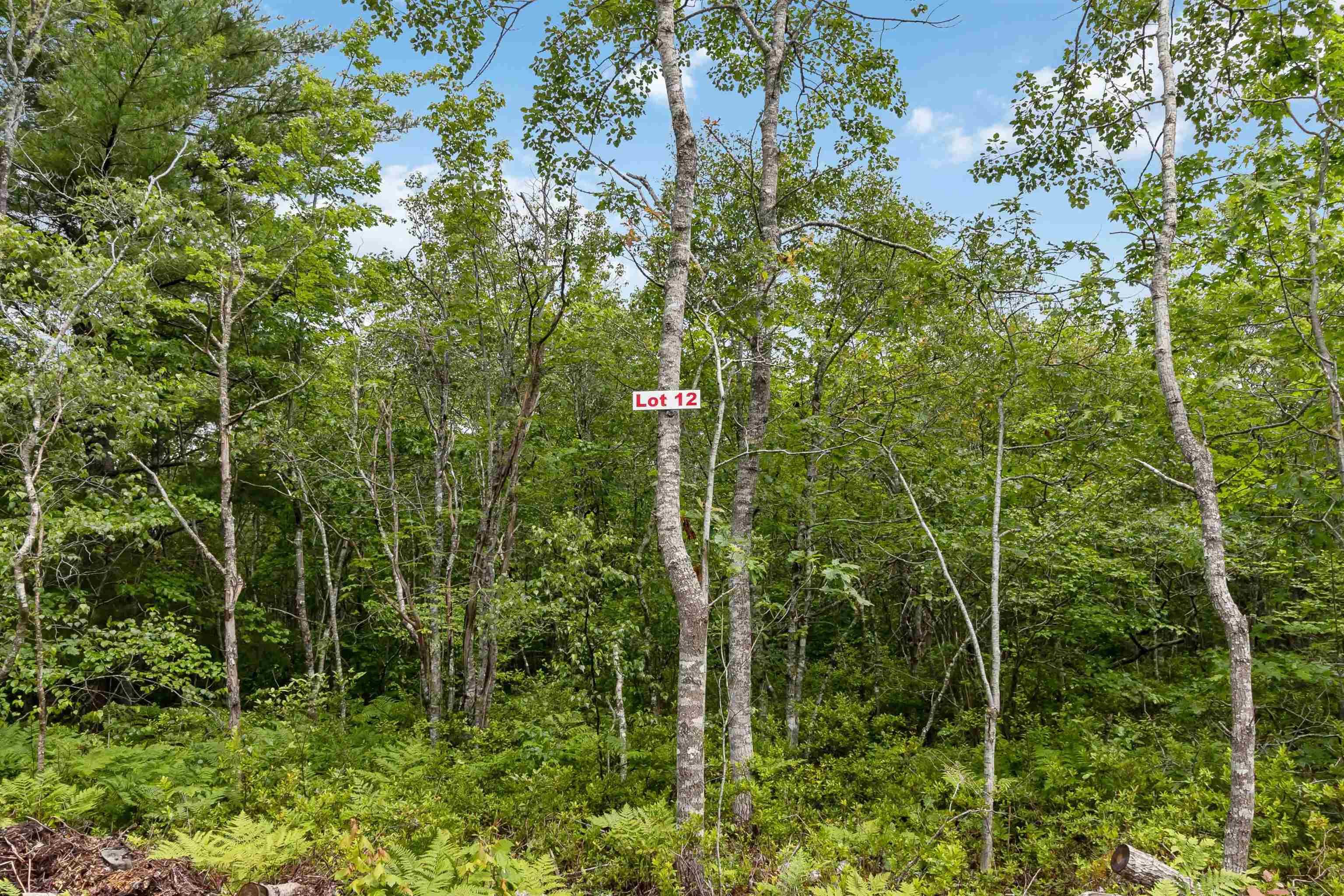 $21,000.00: Lot 12 Maple Ridge Drive, White Point