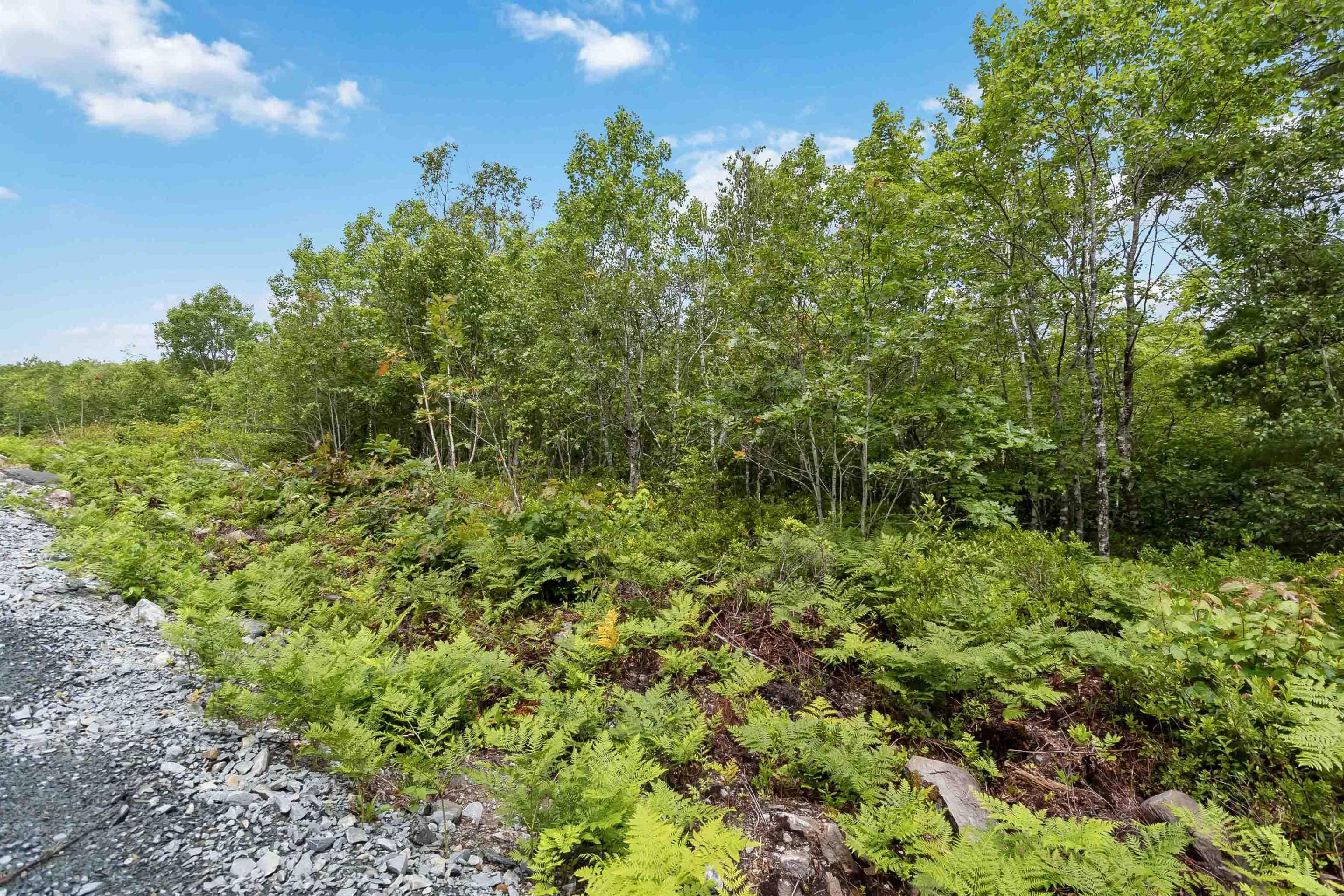 $21,000.00: Lot 7 Maple Ridge Drive, White Point