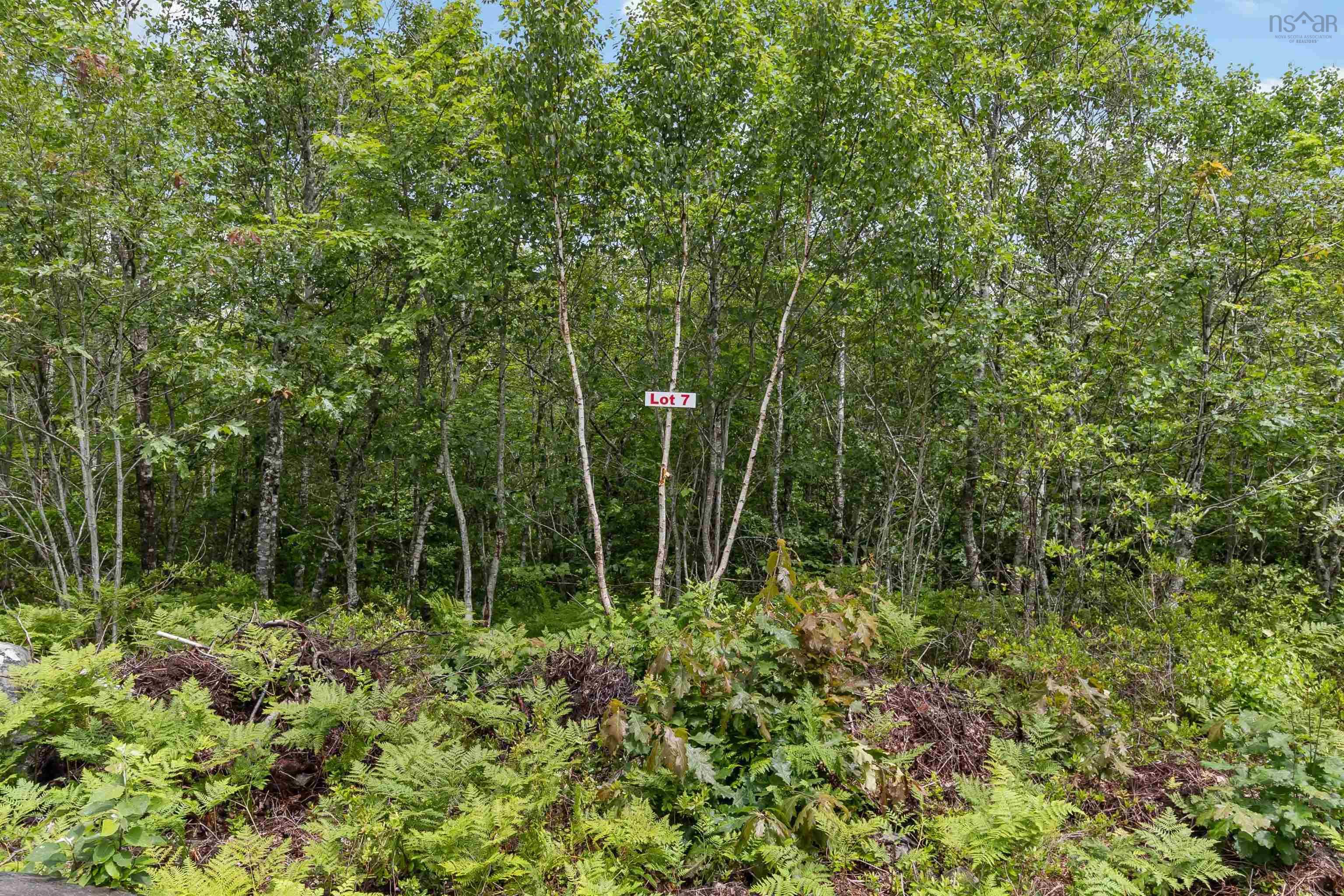 $21,000.00: Lot 7 Maple Ridge Drive, White Point