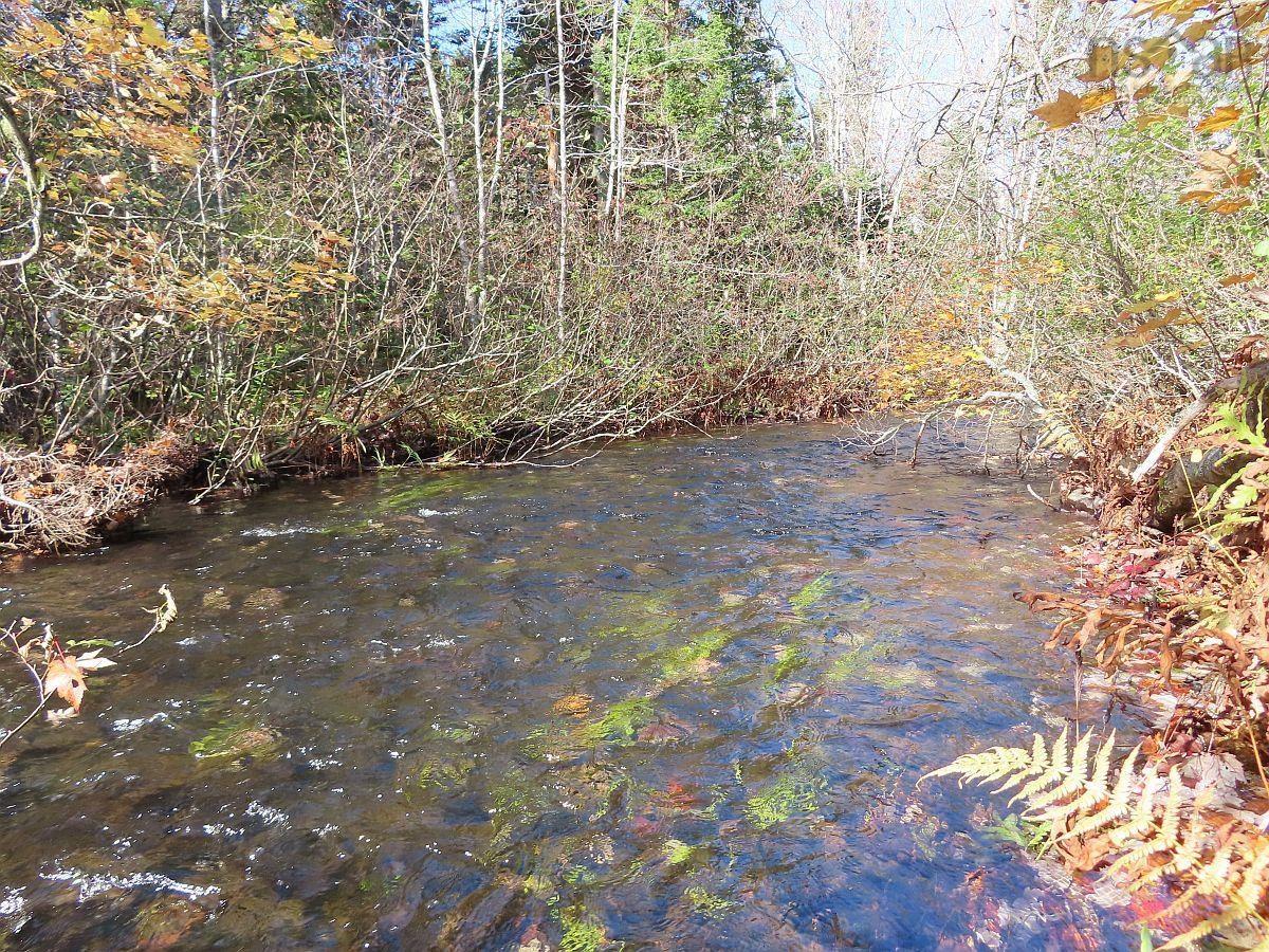 $95,000.00: 206 Highway, Grand Lake