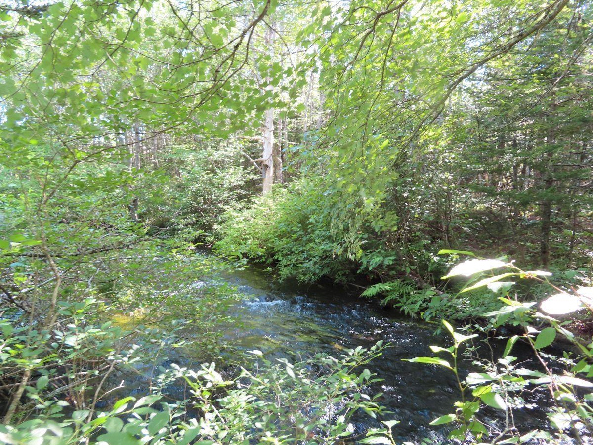 $95,000.00: 206 Highway, Grand Lake