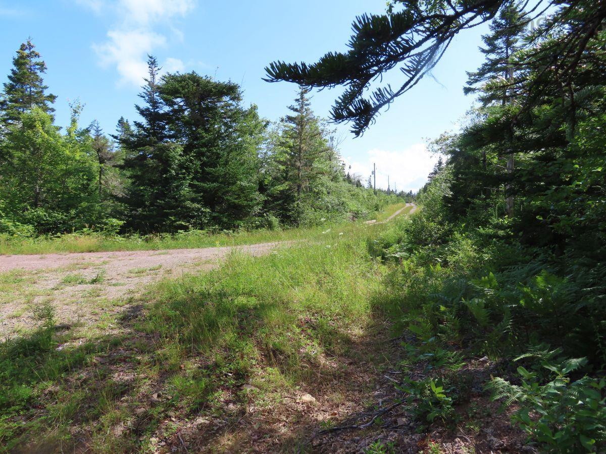 $95,000.00: 206 Highway, Grand Lake