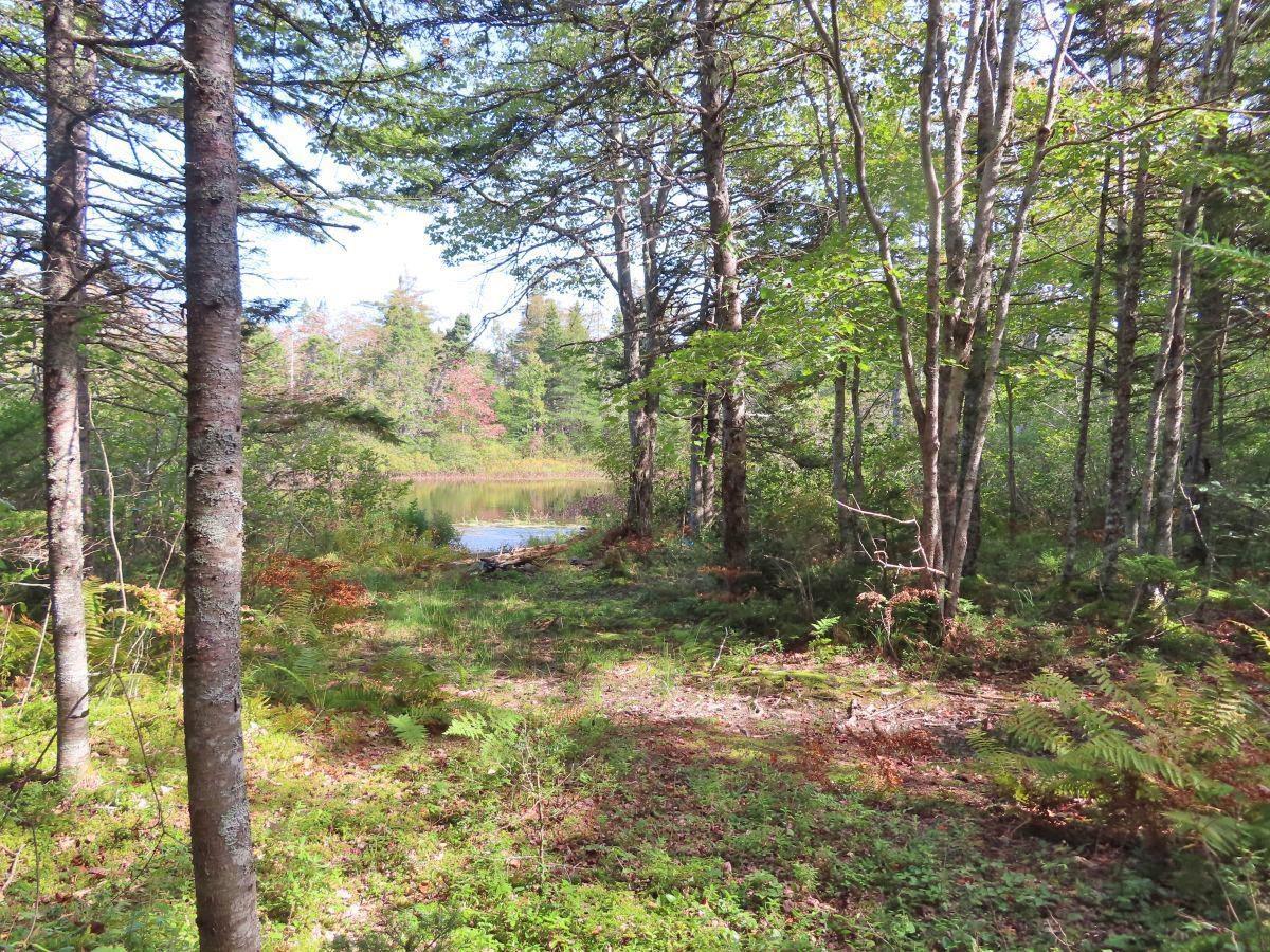 $95,000.00: 206 Highway, Grand Lake