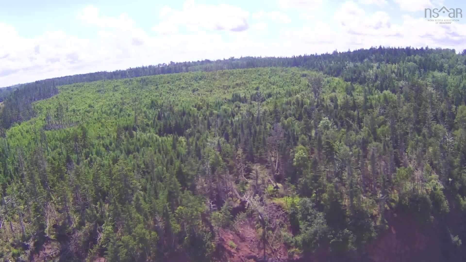 $99,900.00: Lot B Hwy 215 Highway, Walton