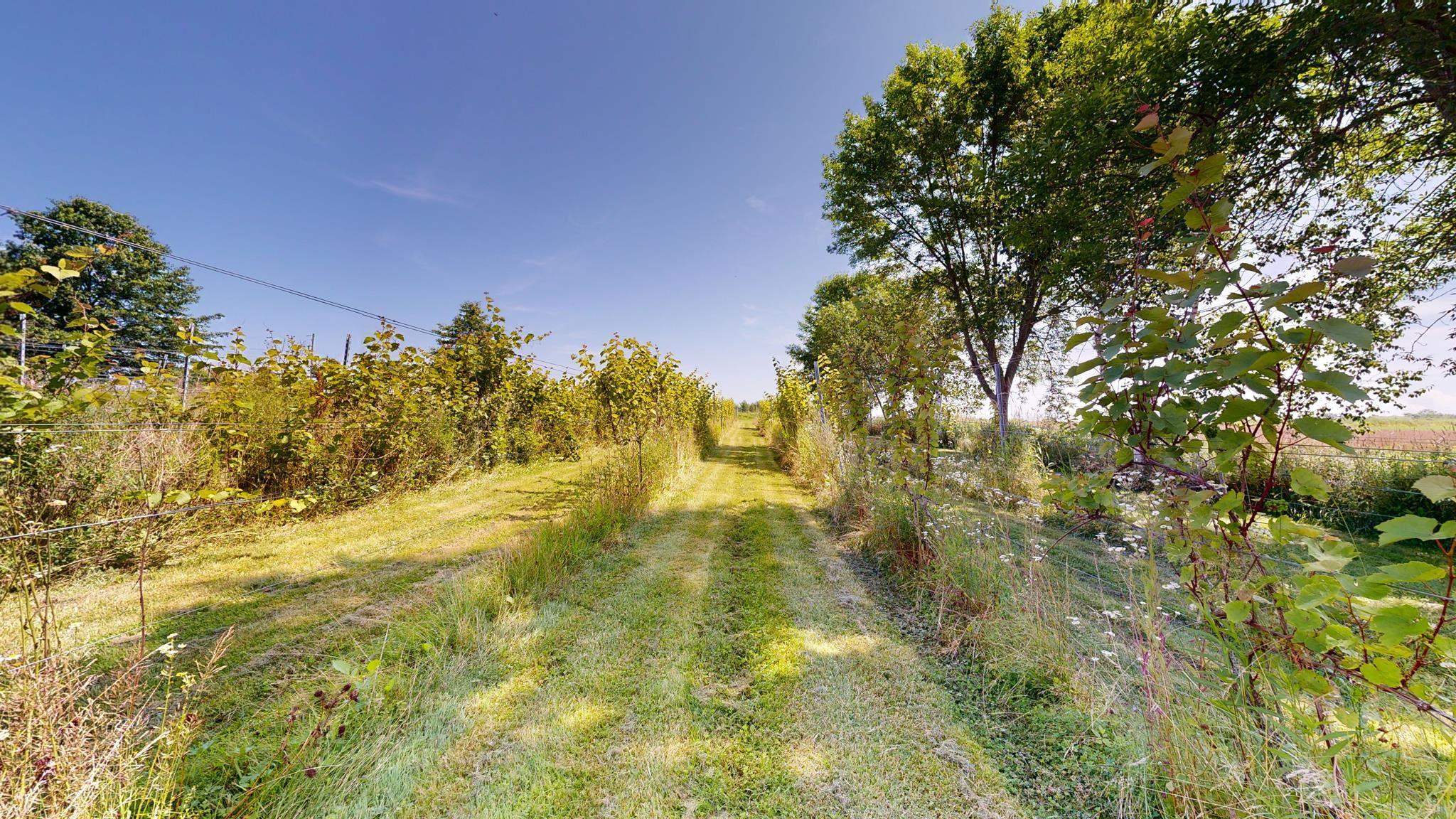 $1,725,000.00: 115 Magee Road, Port Williams