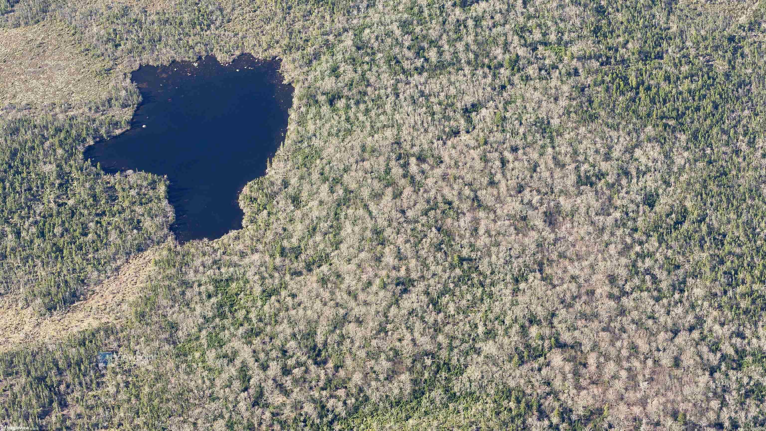 $2,000,000.00: 23339 Bennet Lake, Harrietsfield