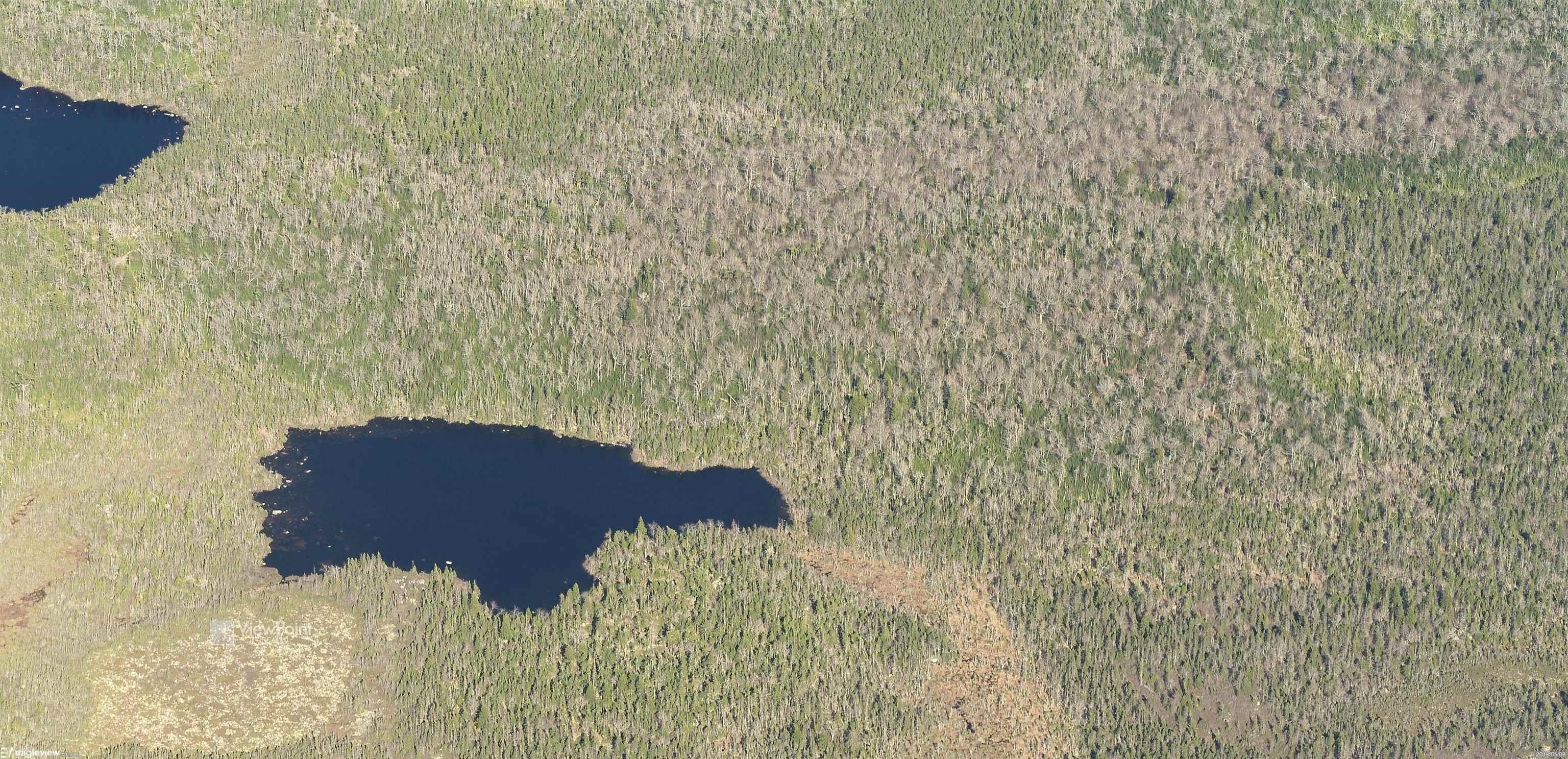 $2,000,000.00: 23339 Bennet Lake, Harrietsfield