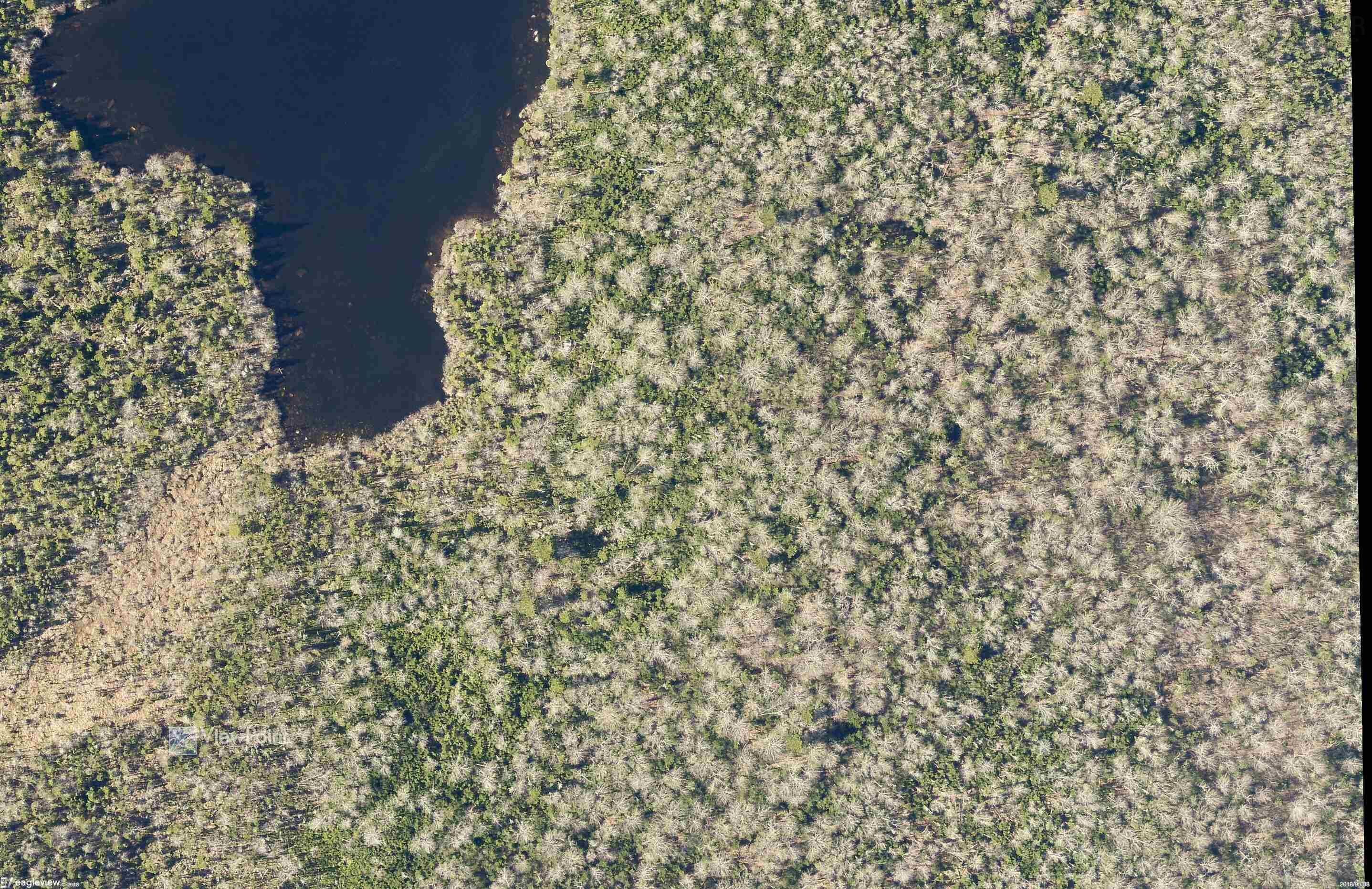 $2,000,000.00: 23339 Bennet Lake, Harrietsfield