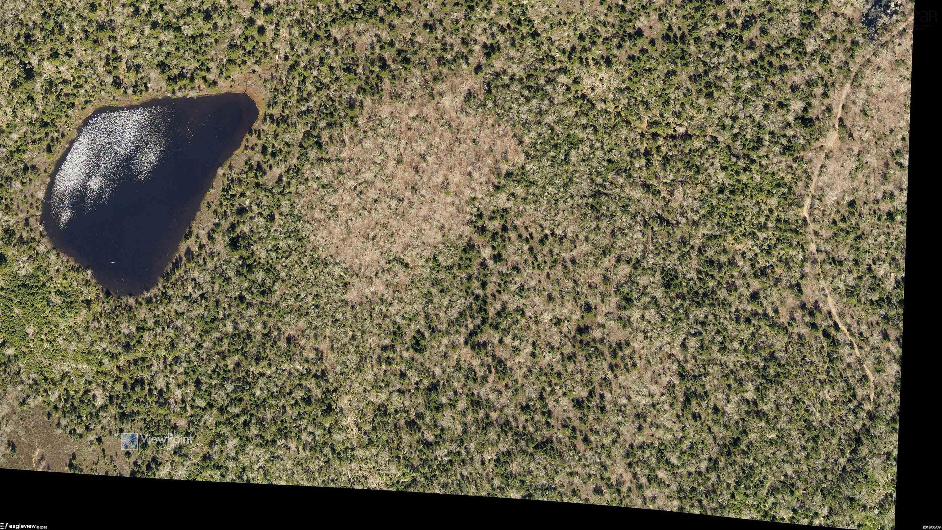 $2,000,000.00: 23339 Bennet Lake, Harrietsfield