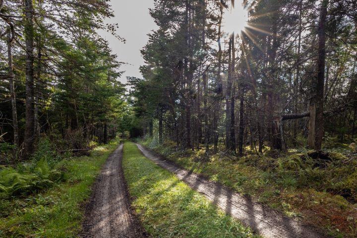 $699,500.00: 8132 GABARUS Highway, Gabarus