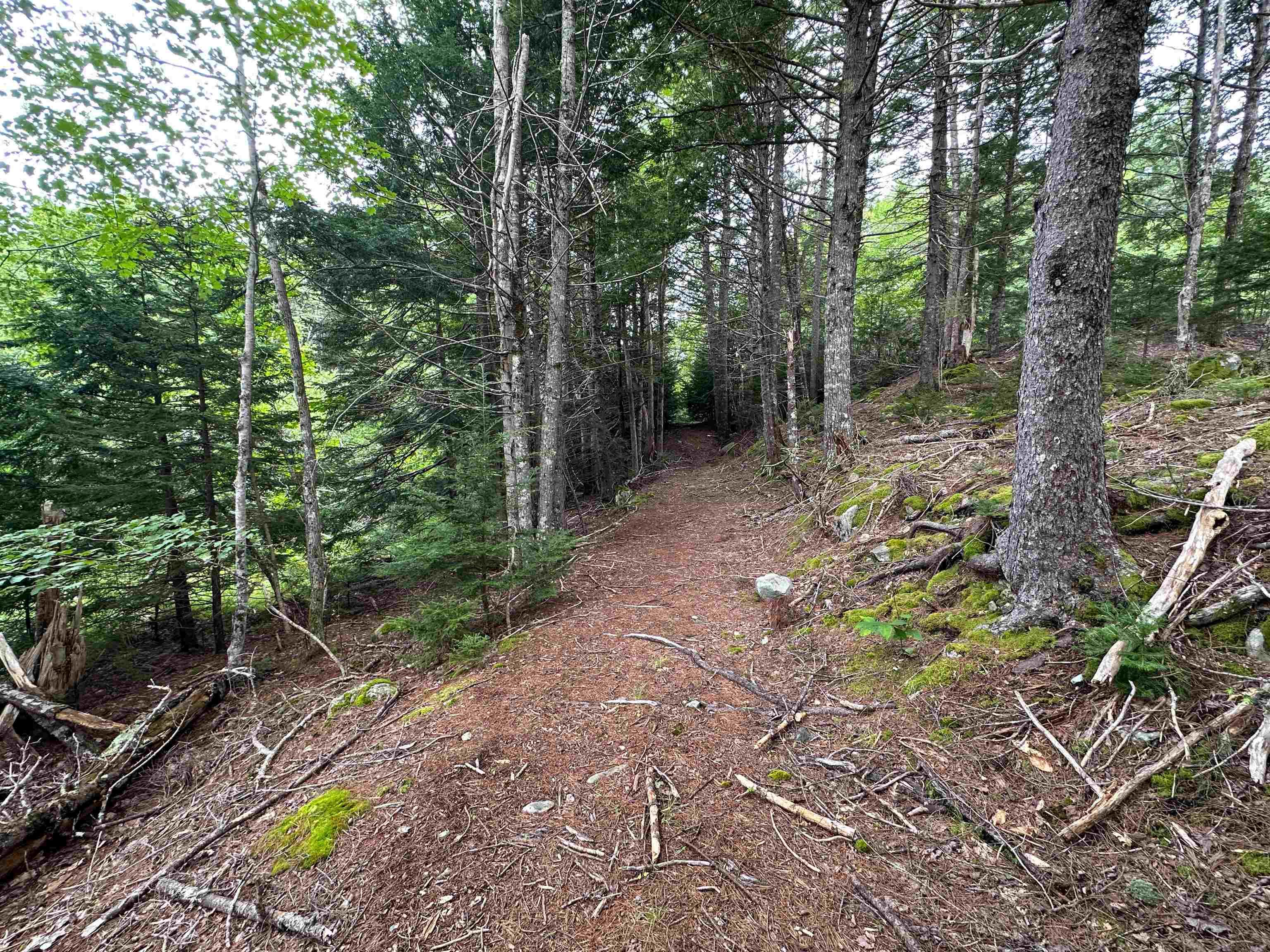 $130,000.00: LOT NARROWS Road, Labelle