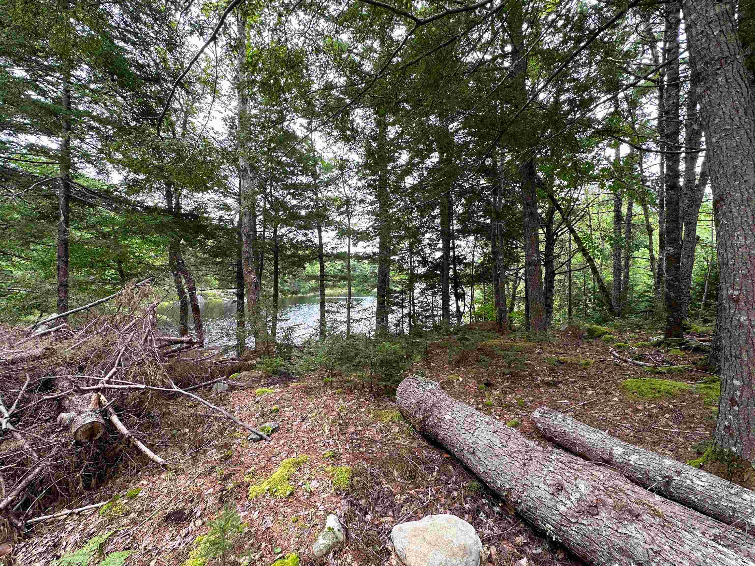 $130,000.00: LOT NARROWS Road, Labelle
