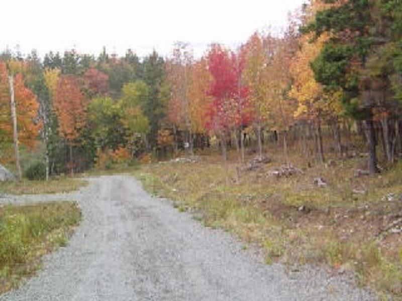 $69,000.00: Lot 7 MacLeod Pond Road, Roberta