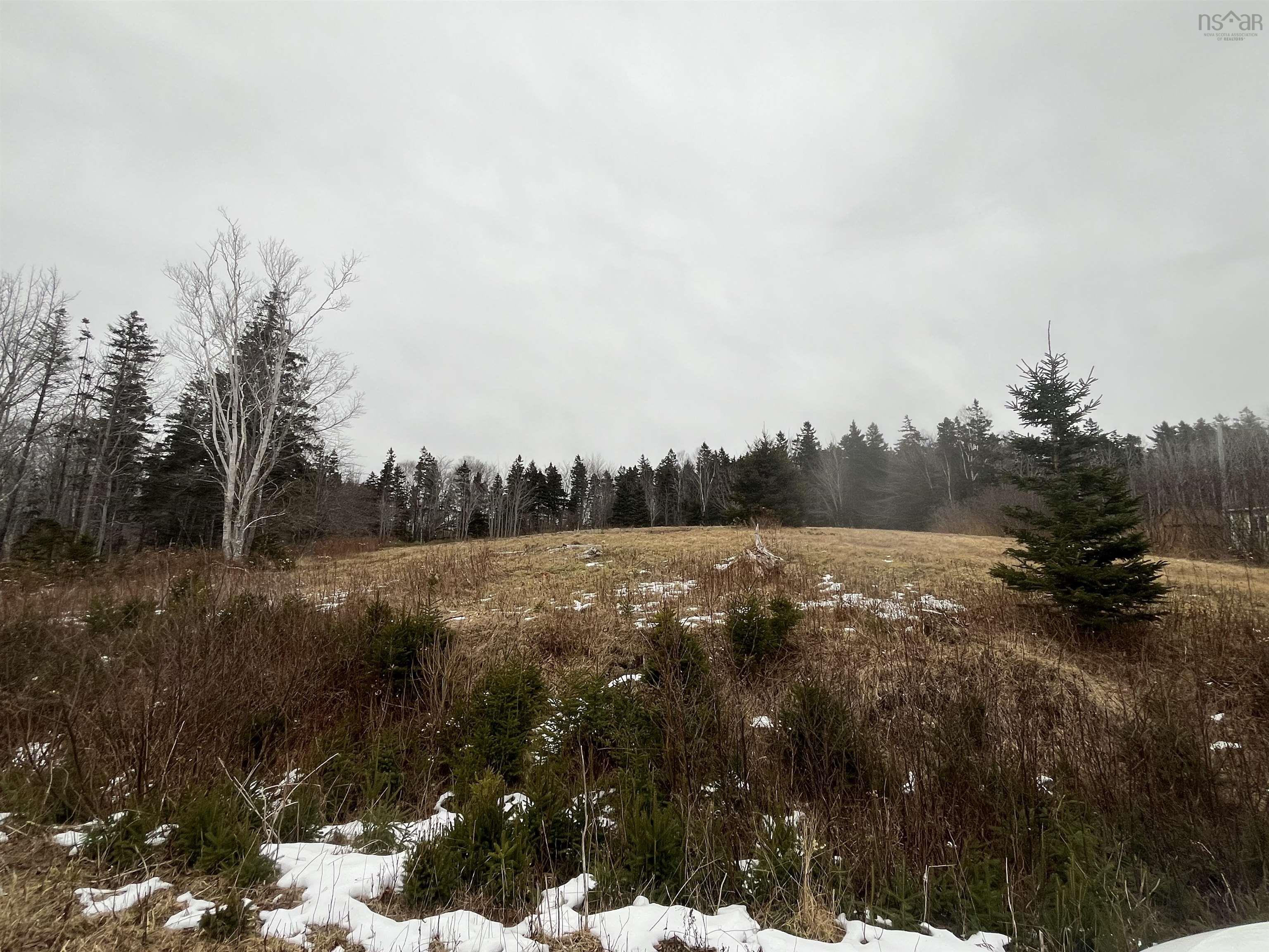 $69,000.00: Lot 7 MacLeod Pond Road, Roberta