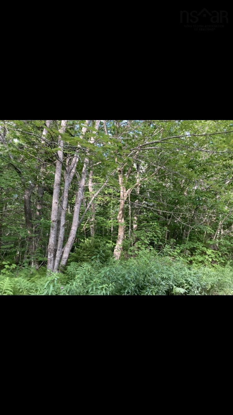 $34,900.00: Simon's Rd., Frankville