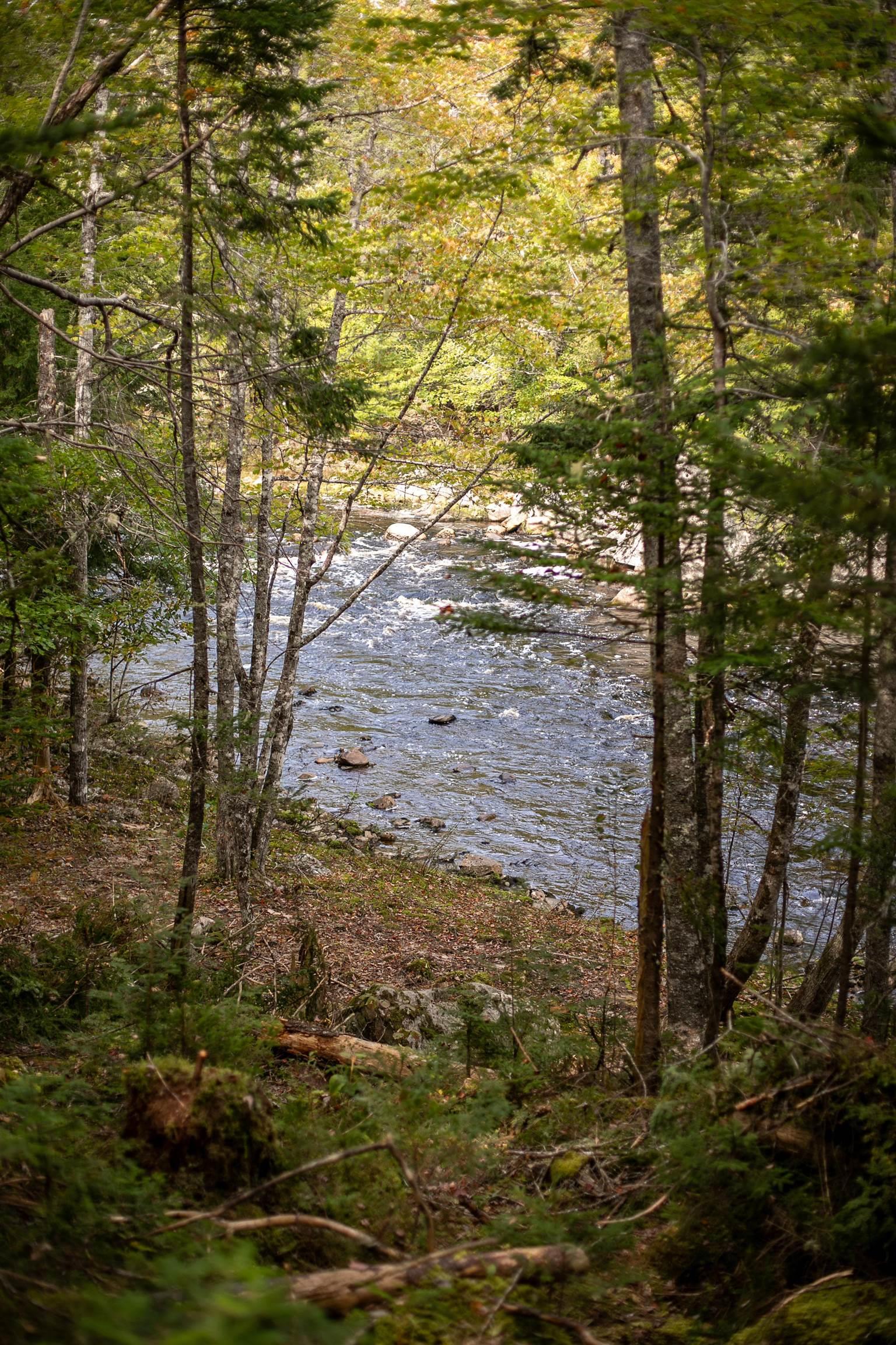 $145,000.00: Lot 2 Stamping Mill Lane, Chester Basin