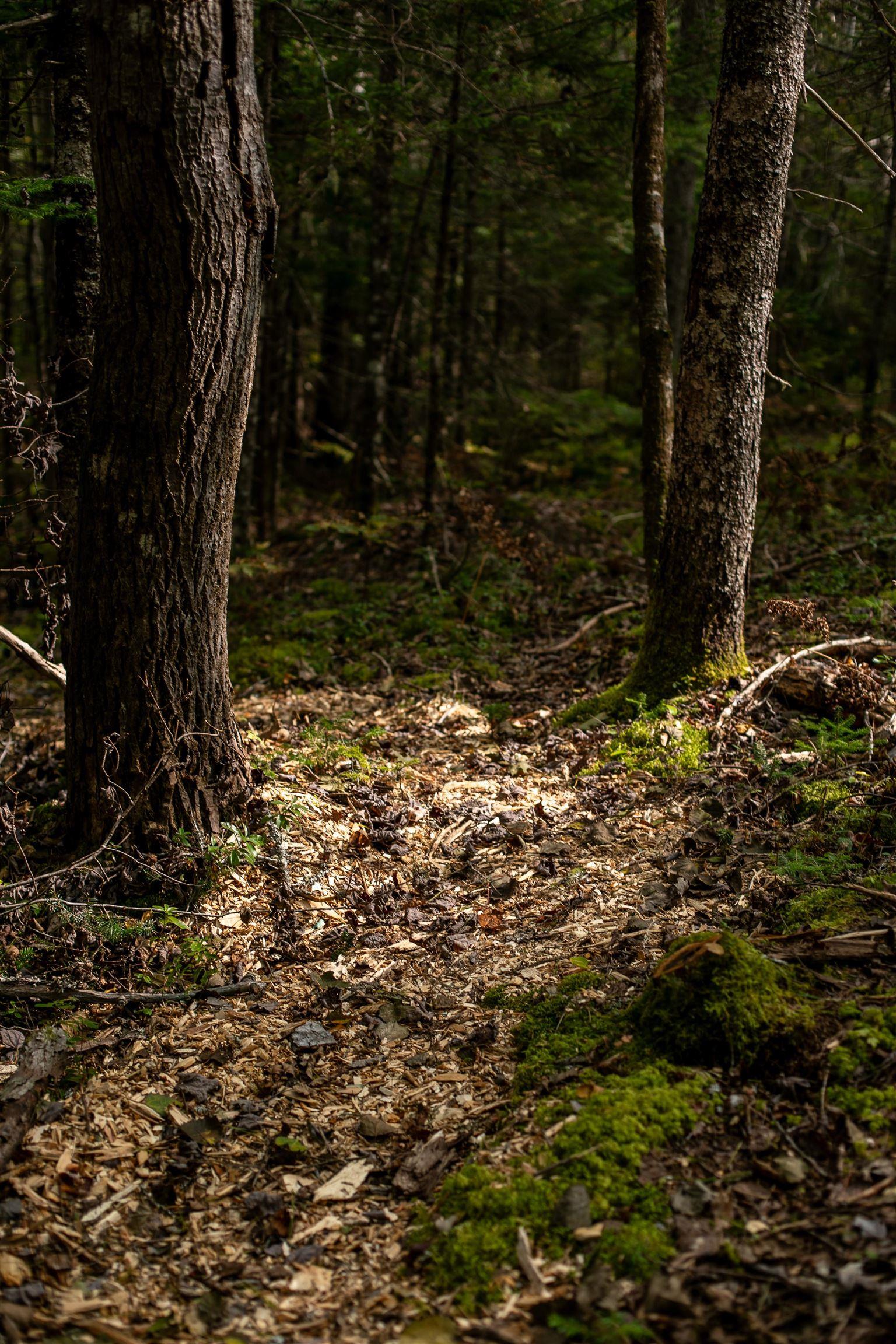 $145,000.00: Lot 2 Stamping Mill Lane, Chester Basin