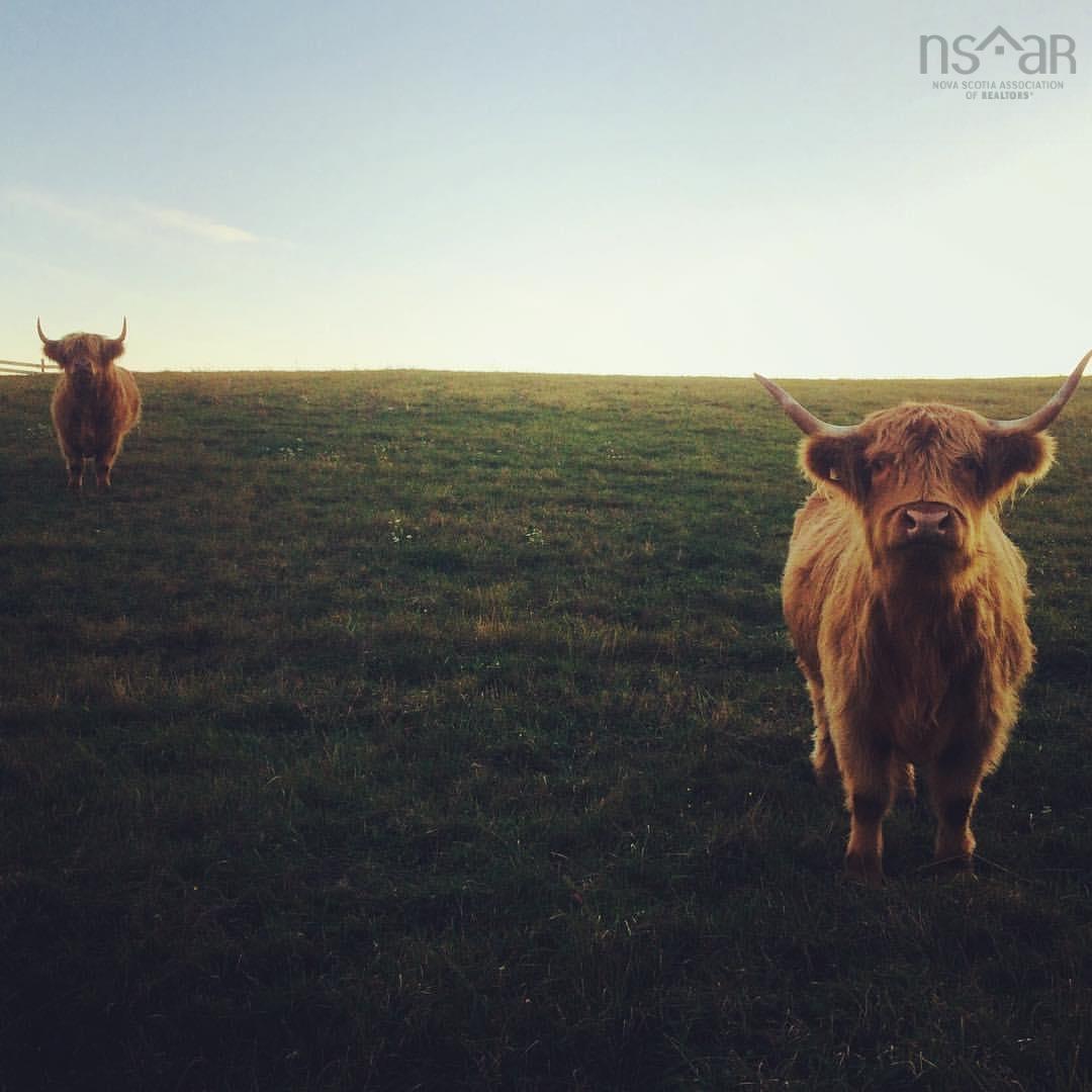 $225,000.00: Lot 12 Upper Kingsburg Road, Upper Kingsburg