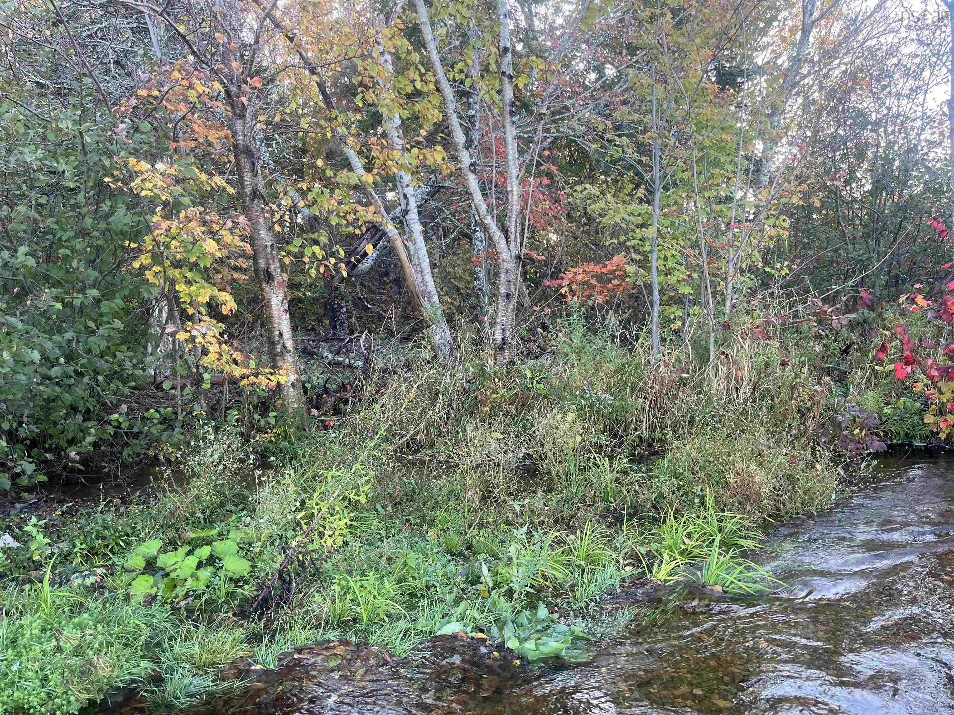 $99,000.00: Lot 1 East Bay Highway, Big Pond