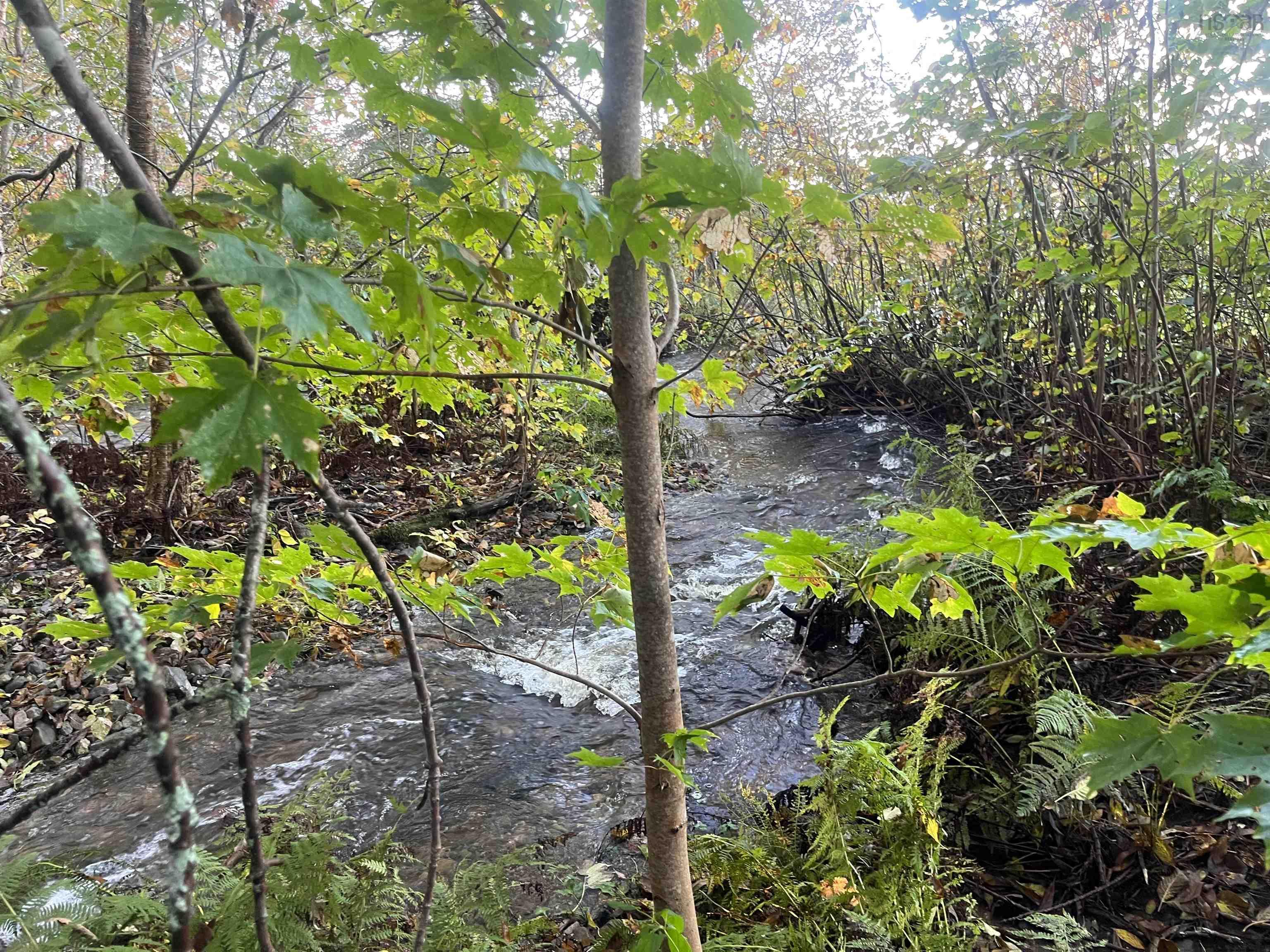 $99,000.00: Lot 1 East Bay Highway, Big Pond