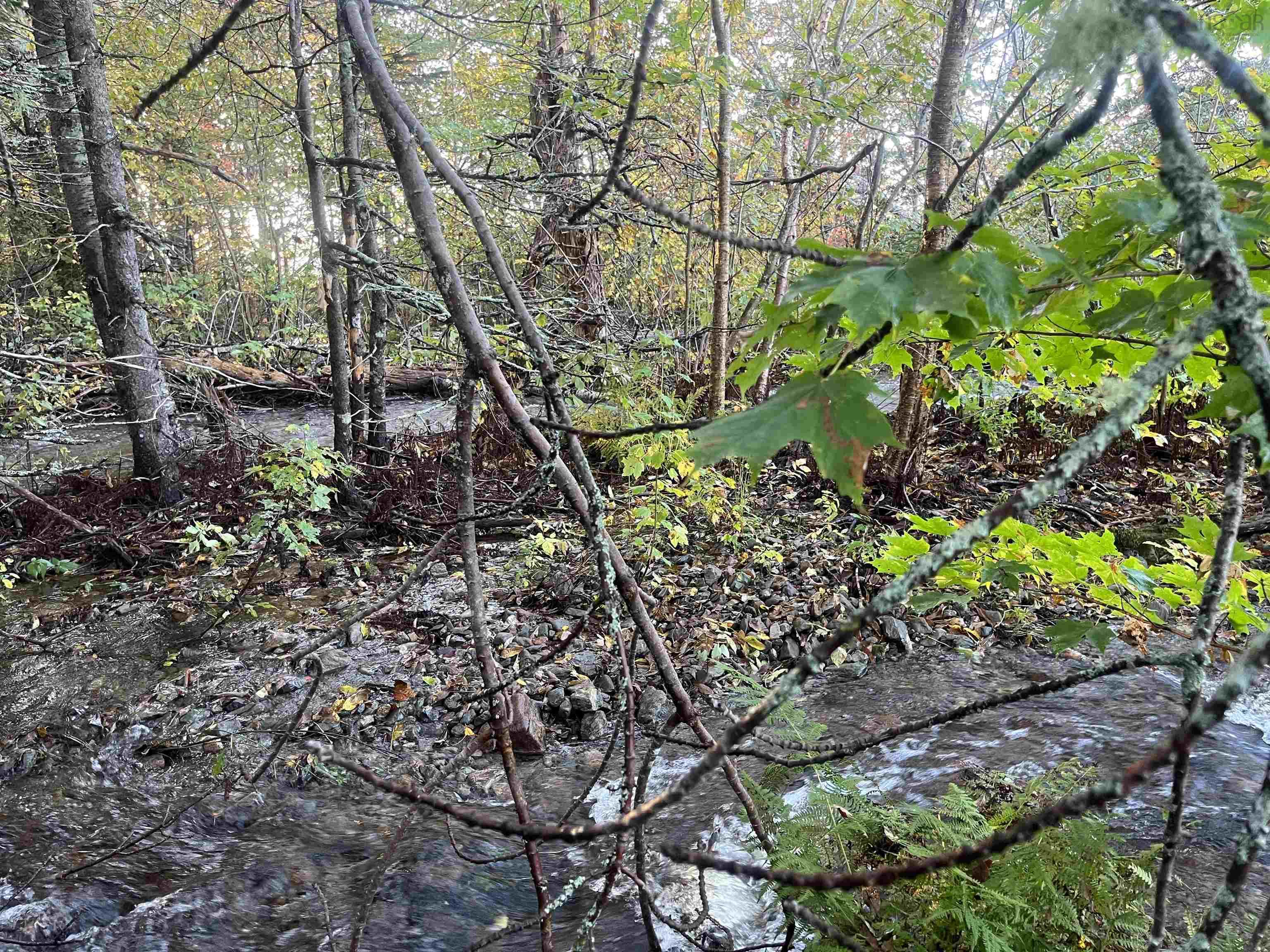 $99,000.00: Lot 1 East Bay Highway, Big Pond