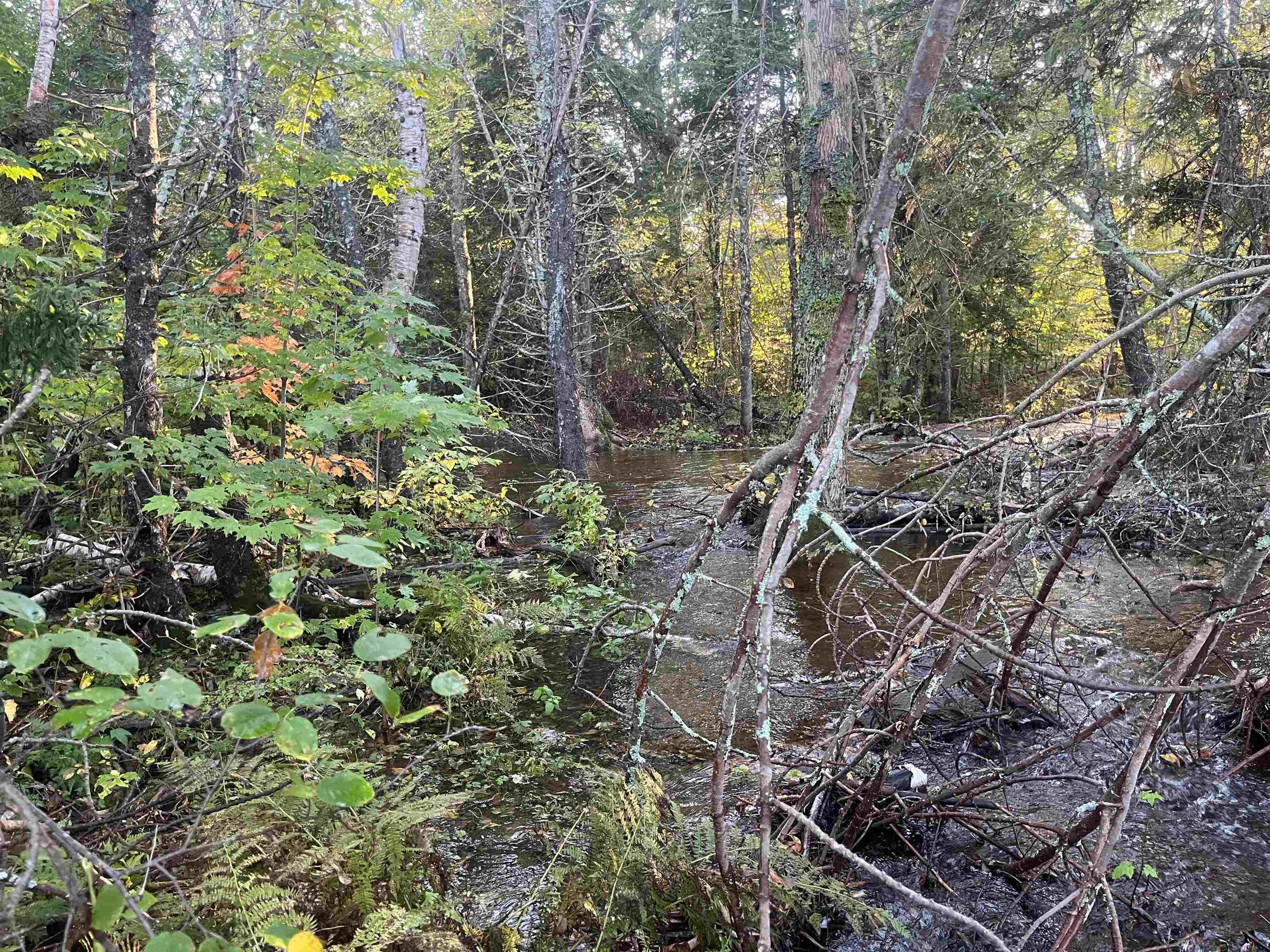 $99,000.00: Lot 1 East Bay Highway, Big Pond