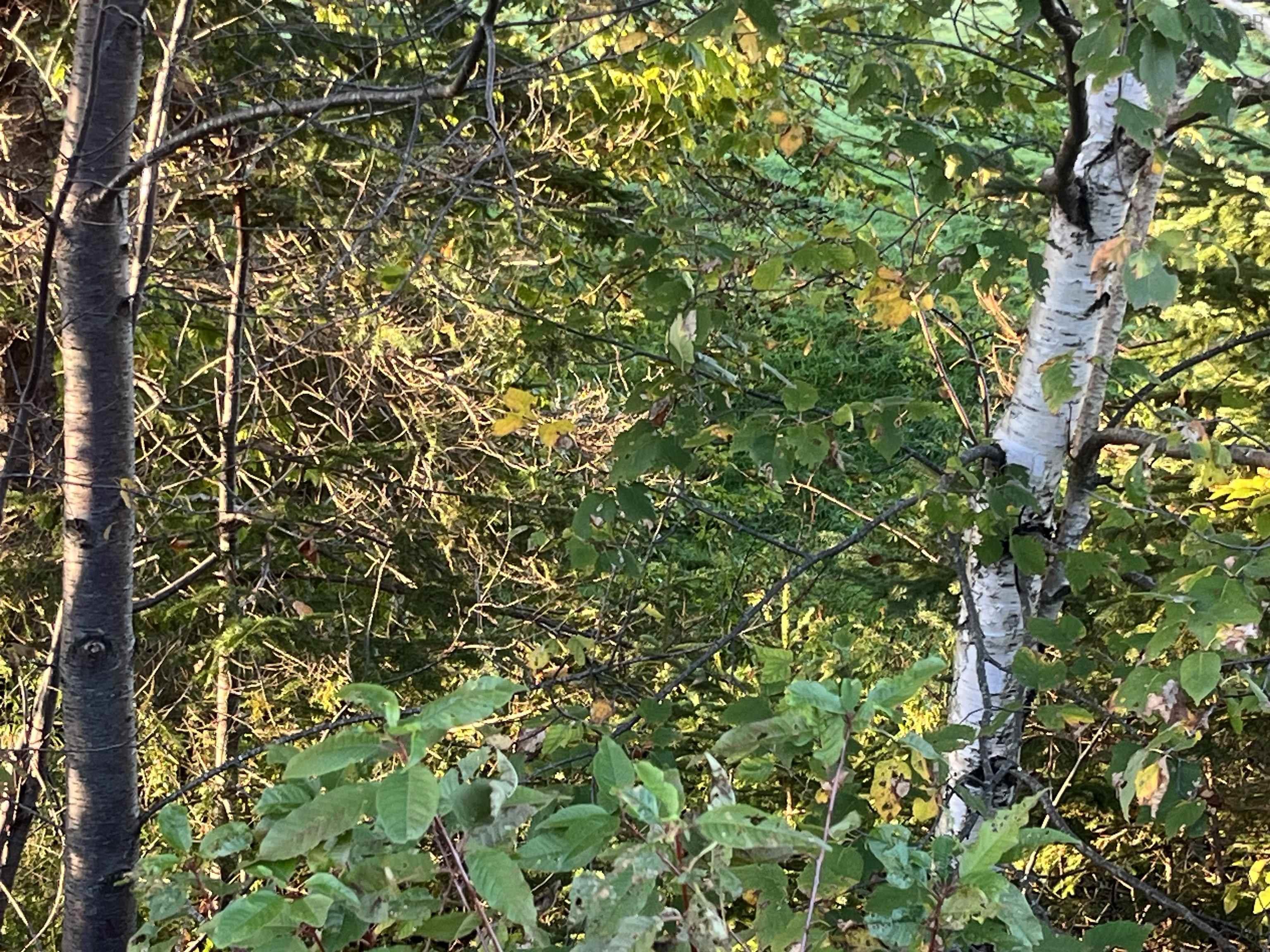 $99,000.00: Lot 1 East Bay Highway, Big Pond