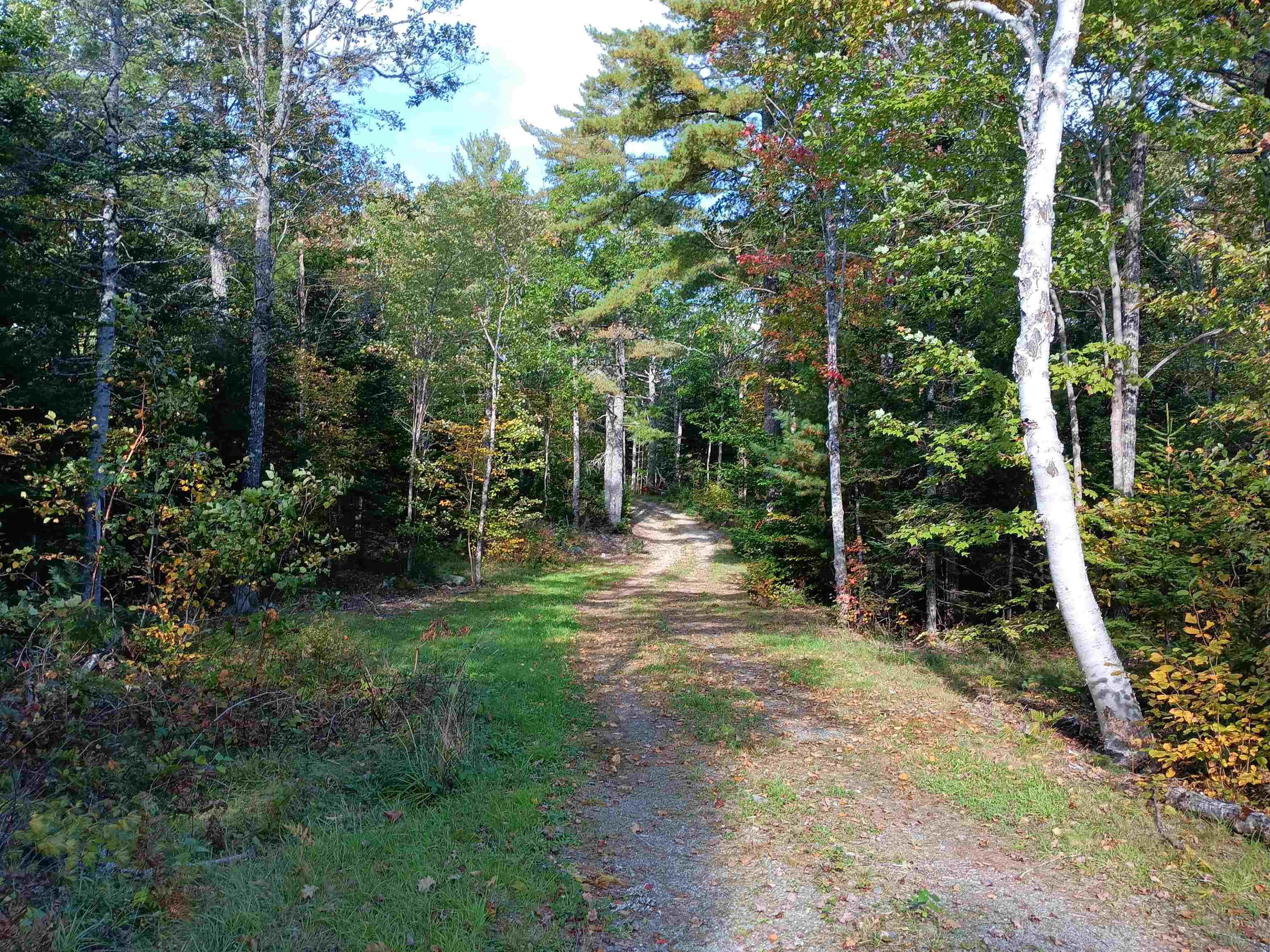 $99,500.00: 23 Cleary Road, West Caledonia