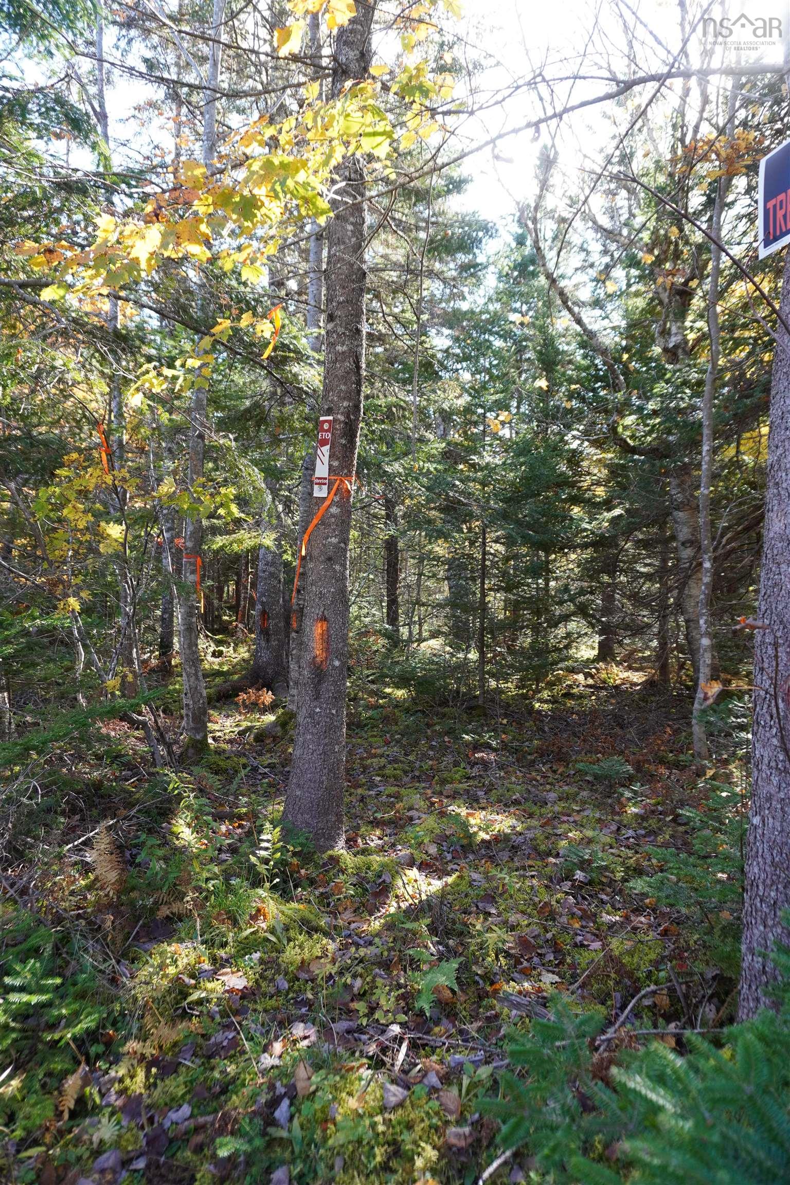 $65,000.00: 98-11 Salem Road, Loch Lomond