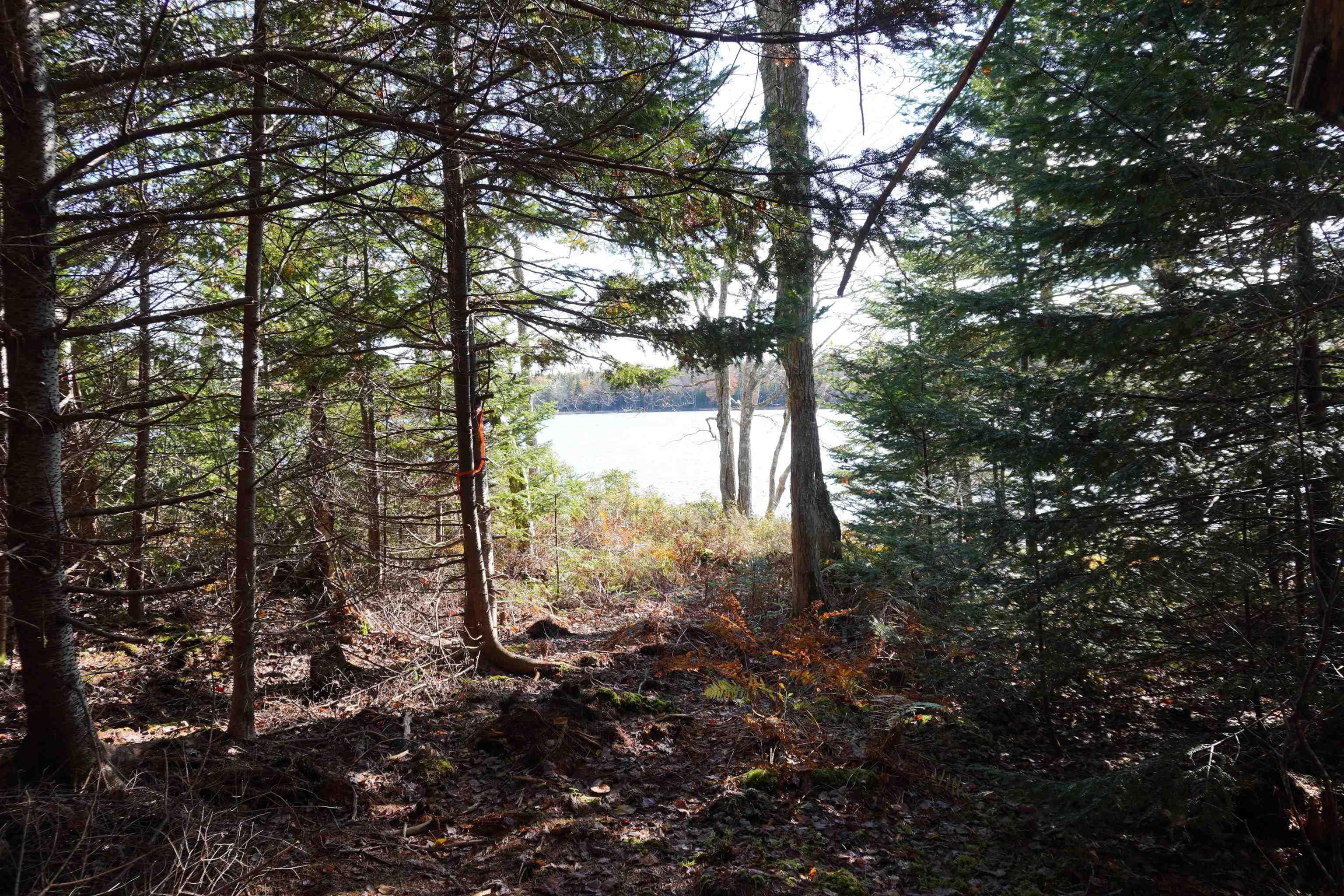 $65,000.00: 98-11 Salem Road, Loch Lomond