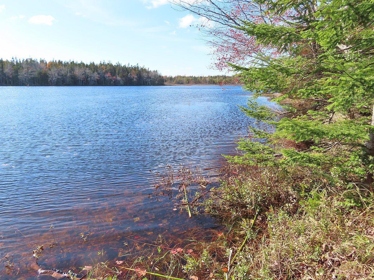 $65,000.00: 98-11 Salem Road, Loch Lomond