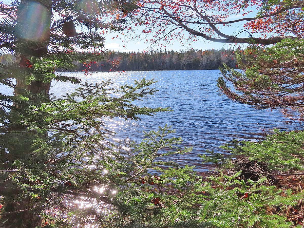 $65,000.00: 98-11 Salem Road, Loch Lomond