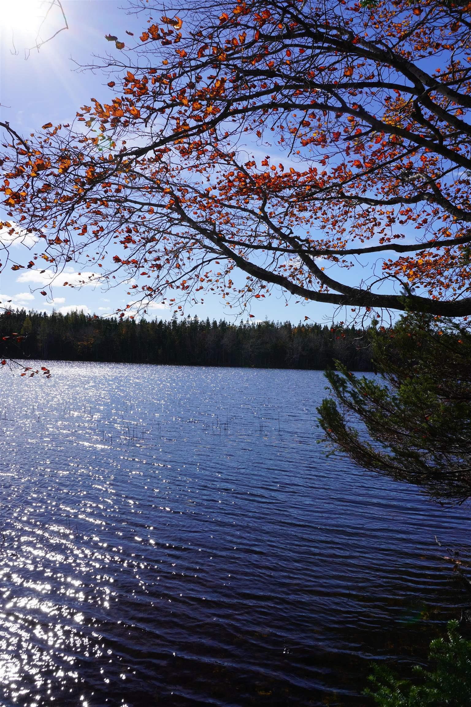 $65,000.00: 98-11 Salem Road, Loch Lomond