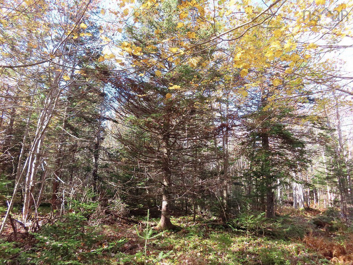 $65,000.00: 98-11 Salem Road, Loch Lomond