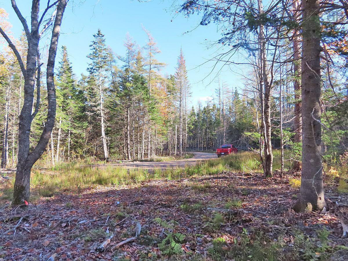 Lot 8 Lower River Road 