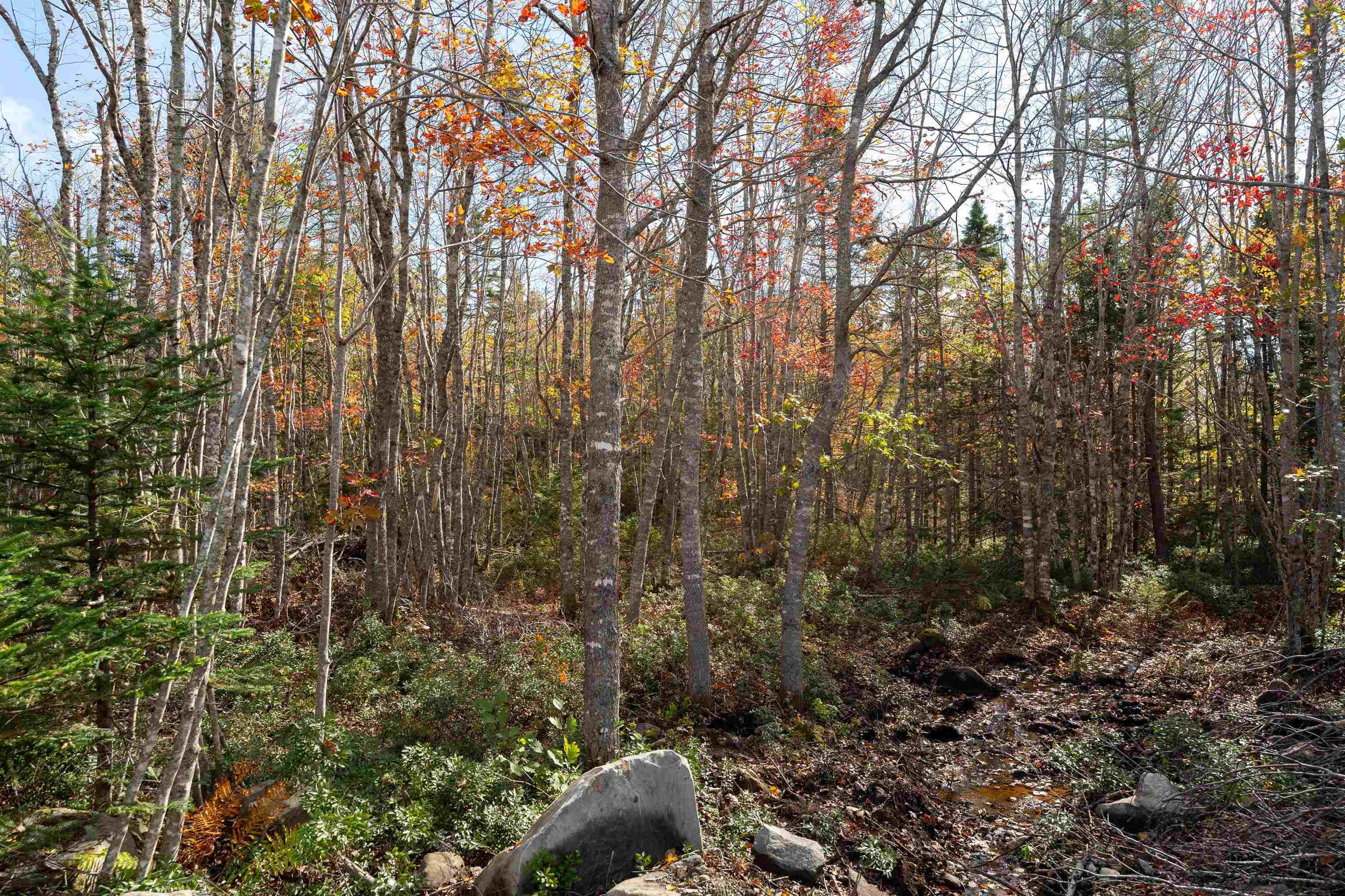 $27,500.00: 106 Morton Drive, Liverpool