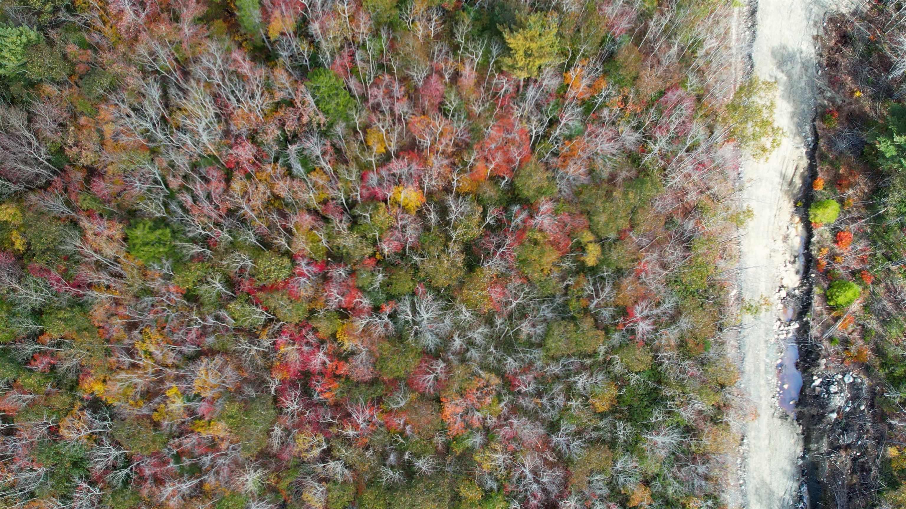 $27,500.00: 106 Morton Drive, Liverpool