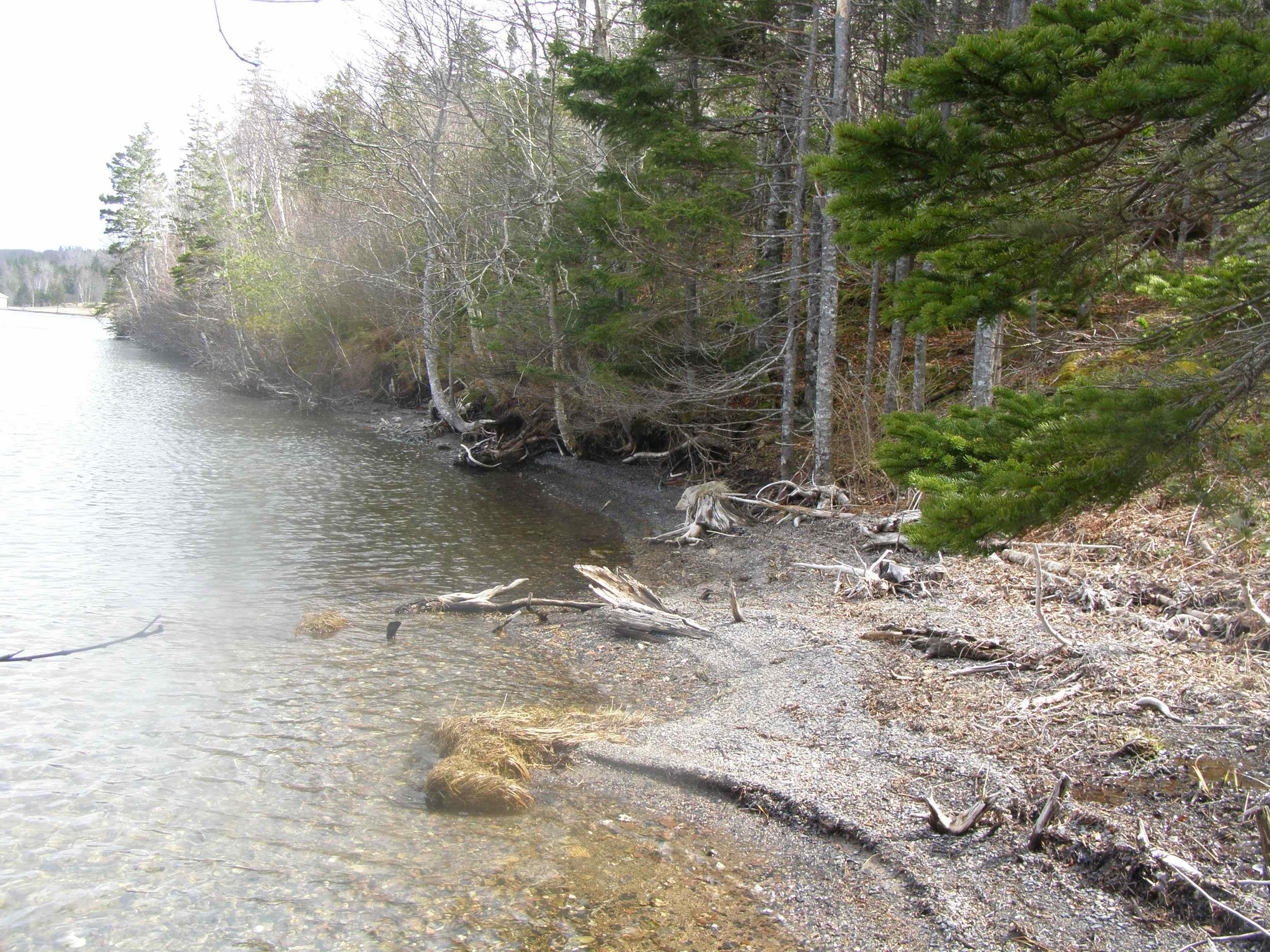 $99,900.00: Lot 13 Torus Drive, Mcnabs Cove