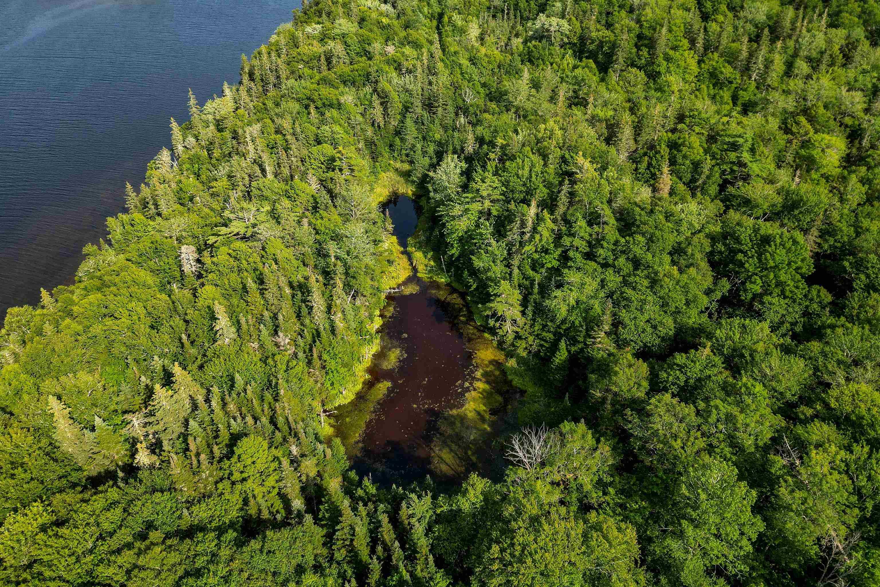 $99,900.00: Lot 13 Torus Drive, Mcnabs Cove