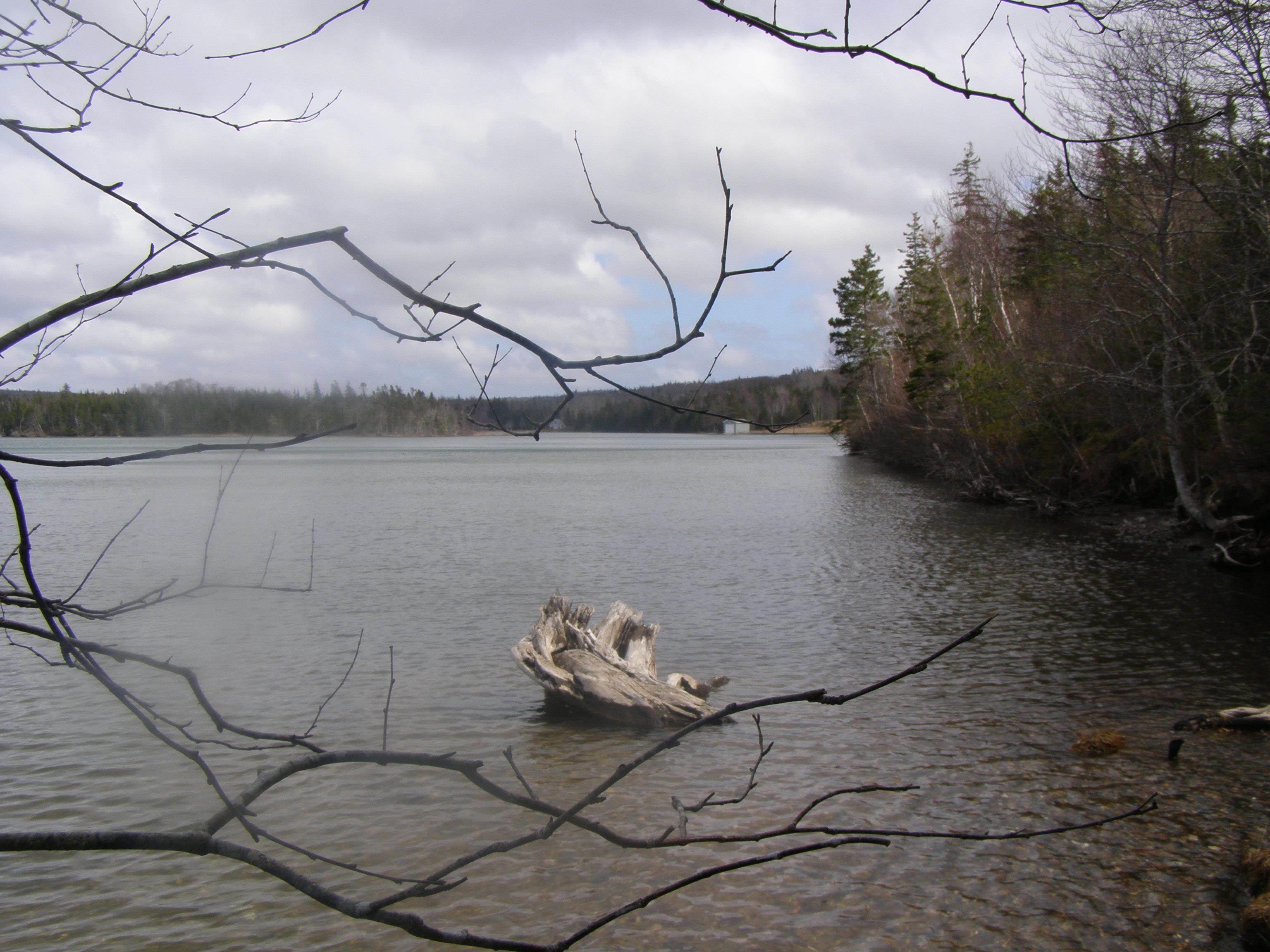 $99,900.00: Lot 13 Torus Drive, Mcnabs Cove
