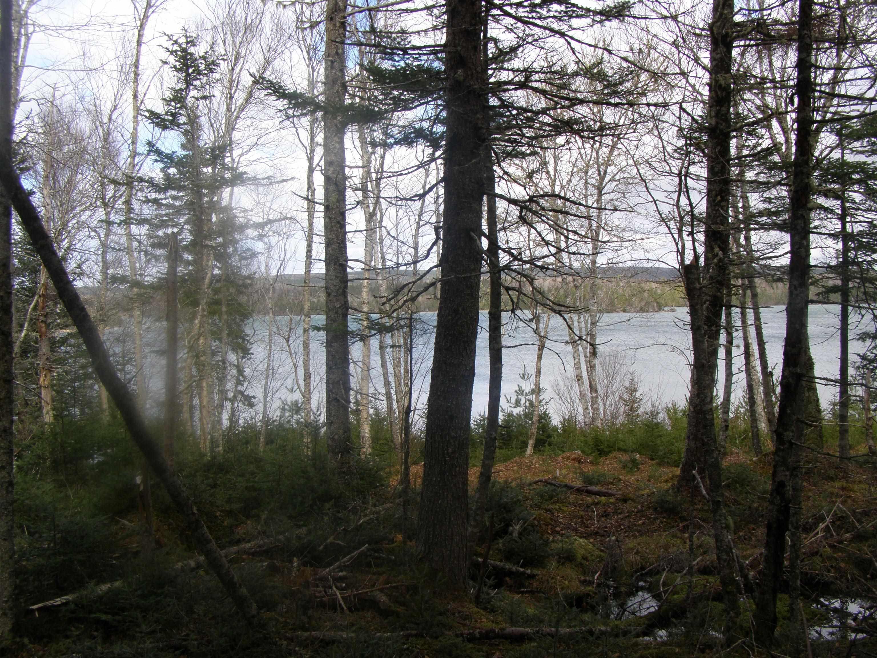 $99,900.00: Lot 13 Torus Drive, Mcnabs Cove