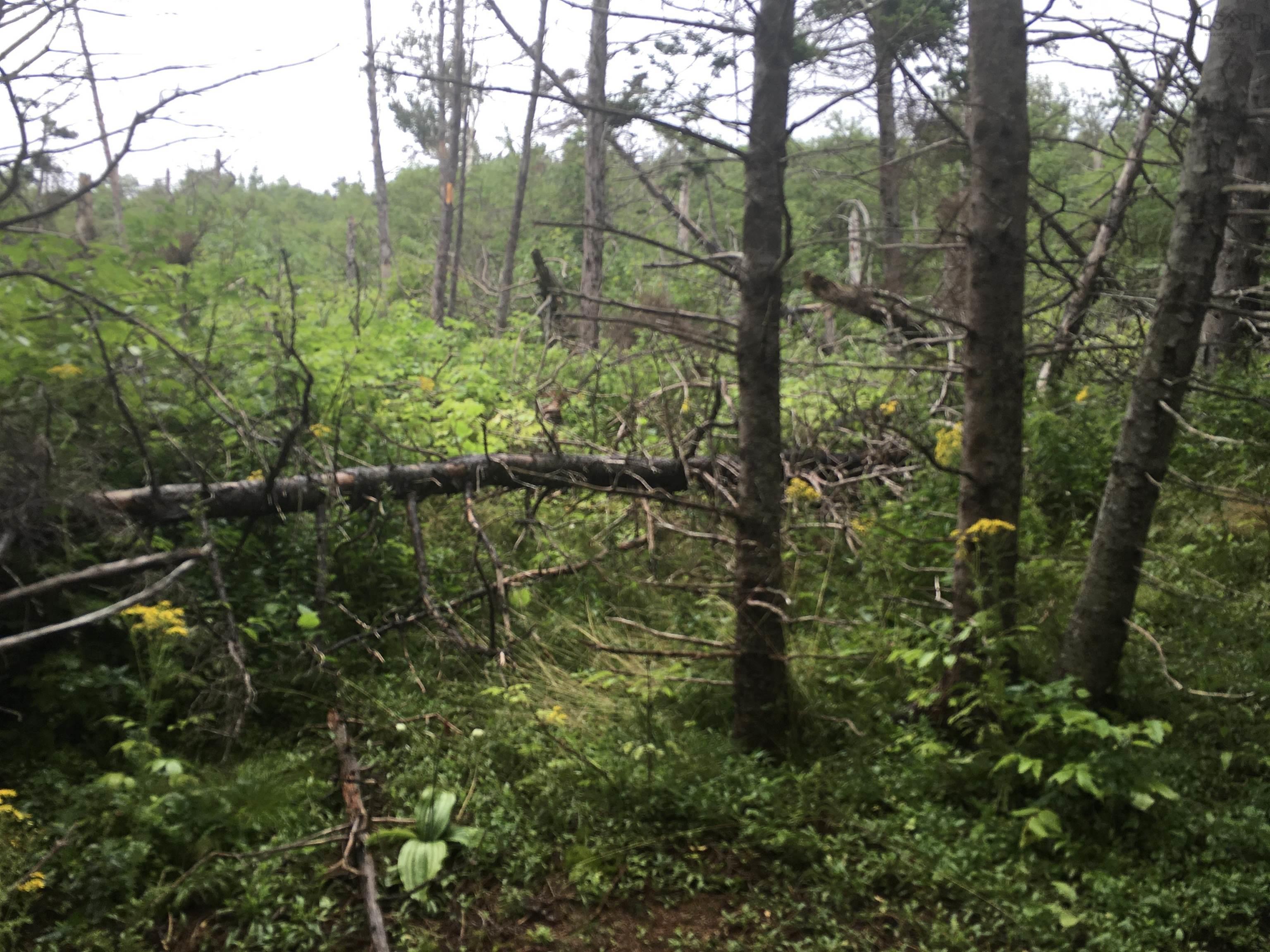 $85,000.00: Pleasant Bay Road, Pleasant Bay