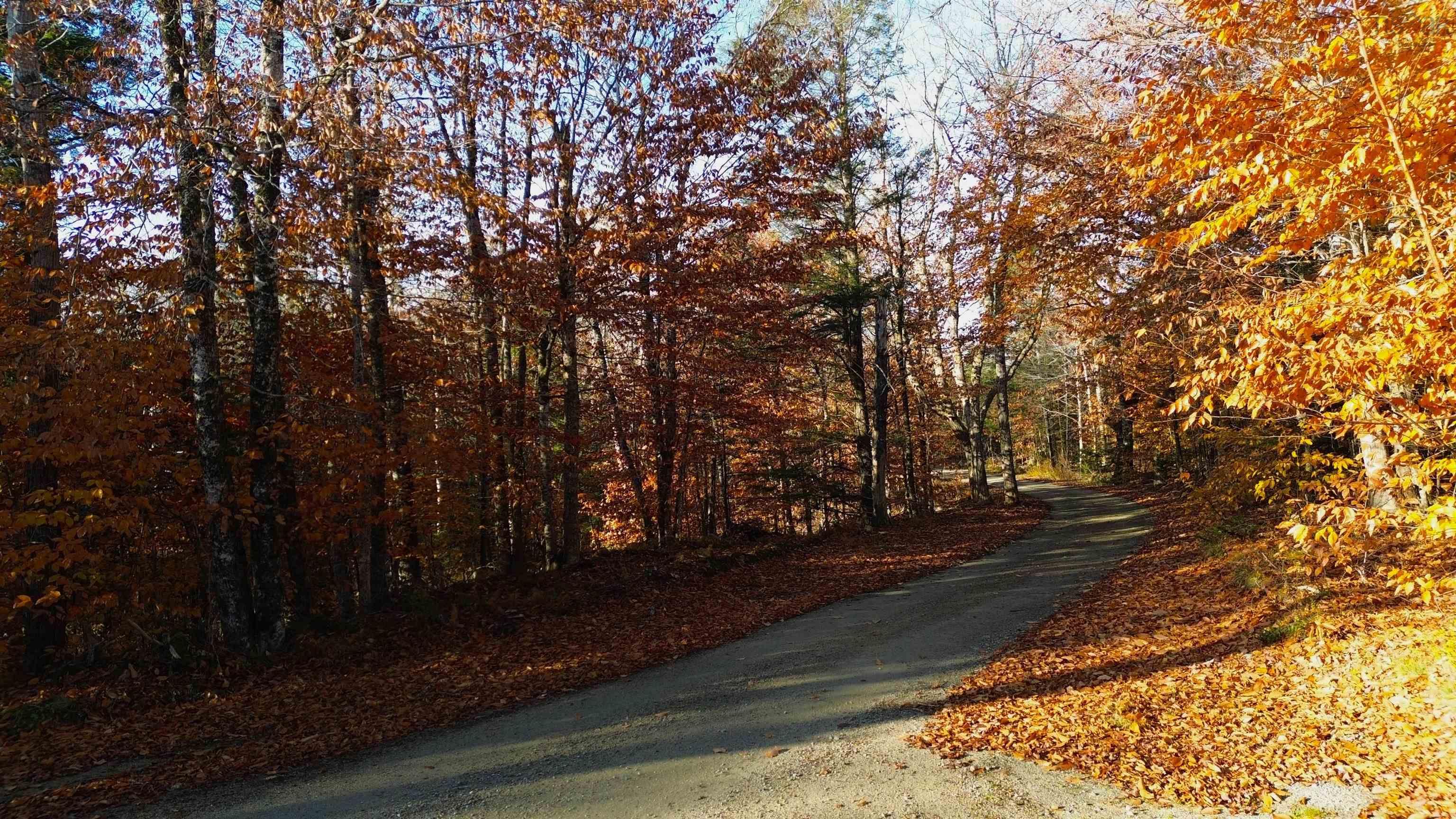 $80,000.00: Major Road, New Tusket