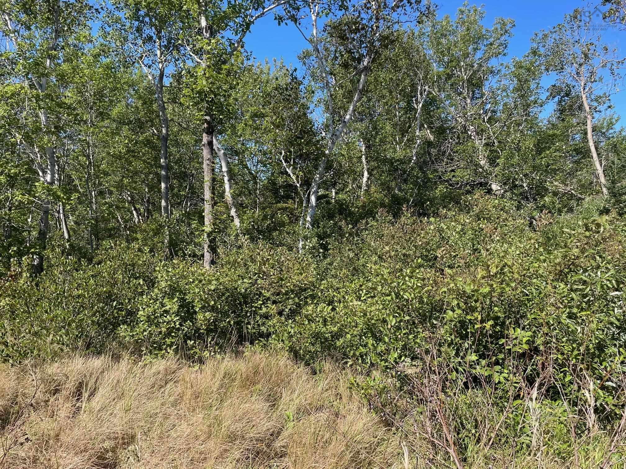 $87,000.00: 0 GRAND LAKE Road, Reserve Mines