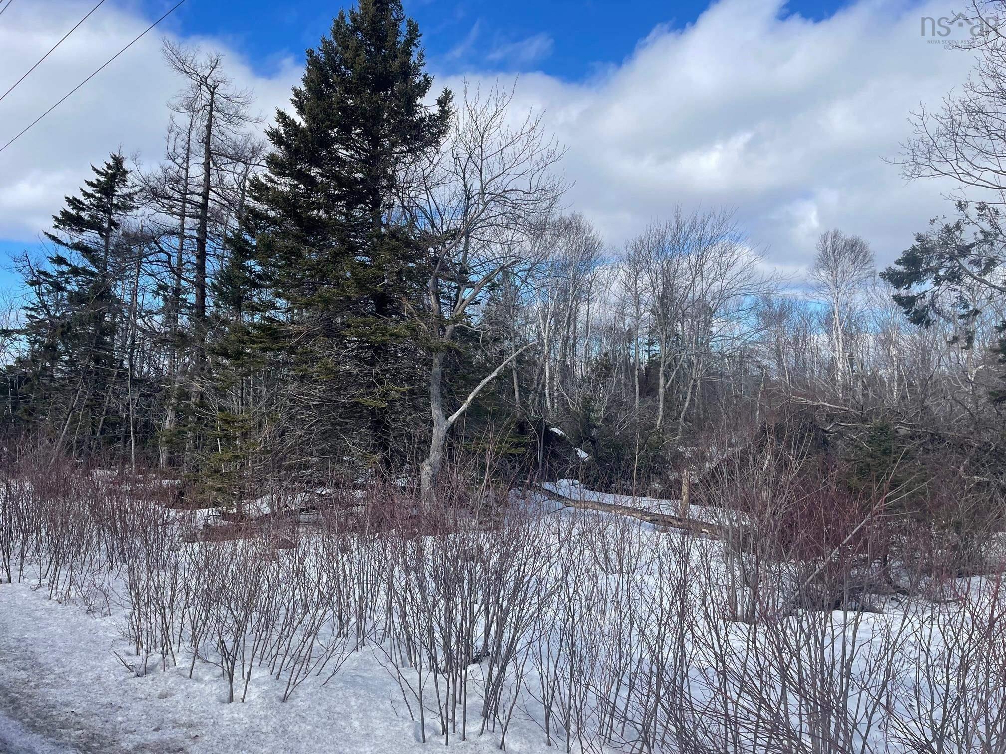 $87,000.00: 0 GRAND LAKE Road, Reserve Mines