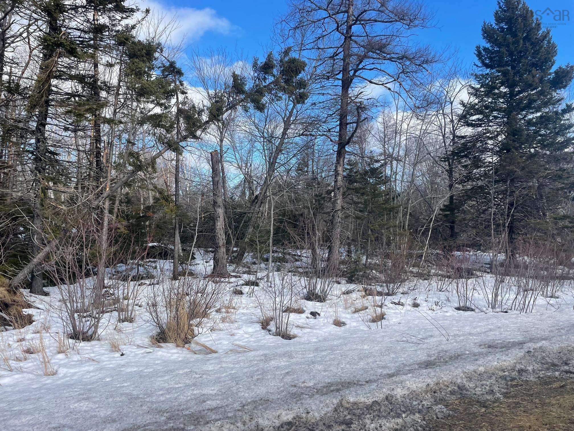 $87,000.00: 0 GRAND LAKE Road, Reserve Mines
