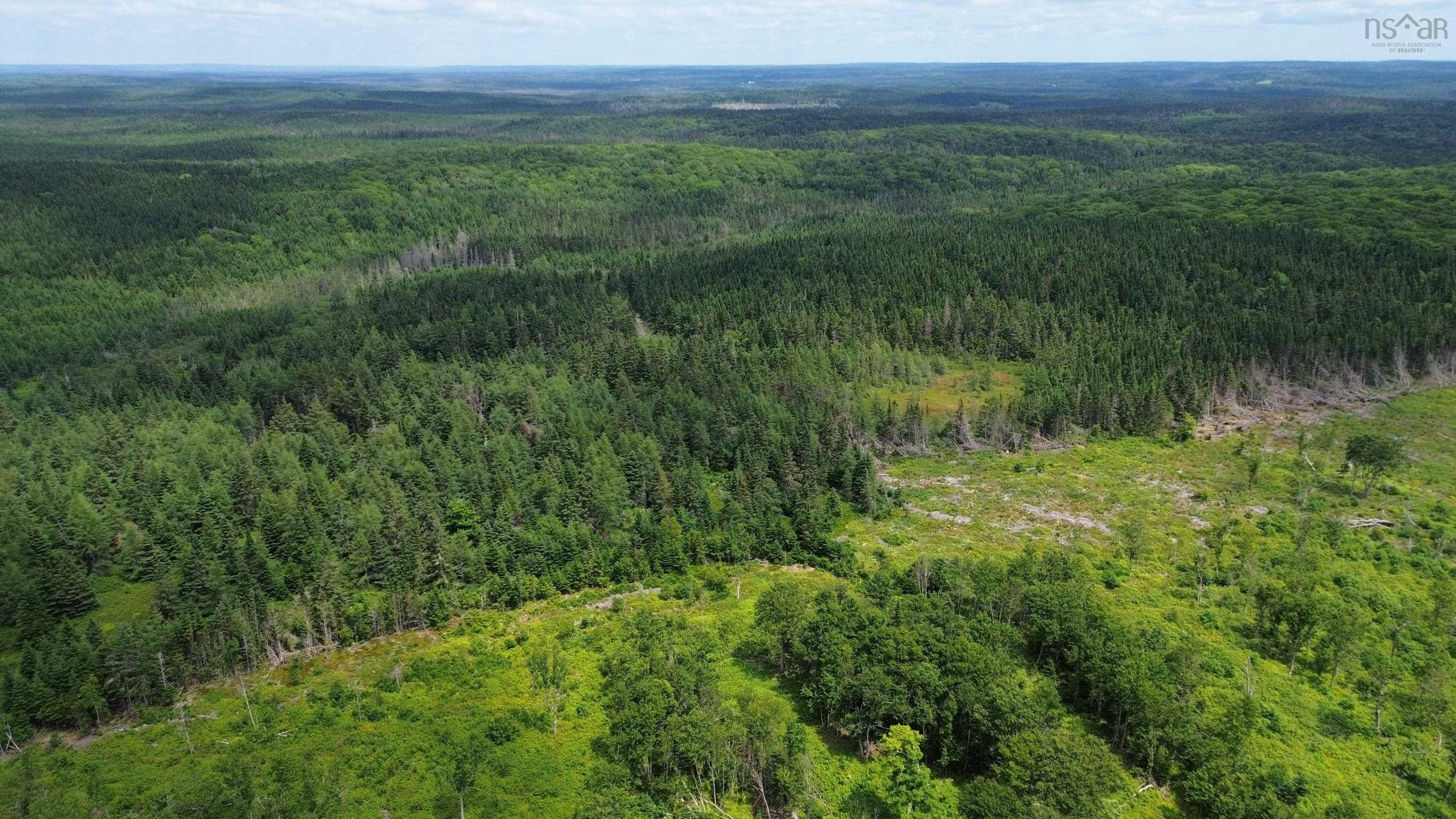 $119,000.00: Lot Shaws Road, Lewis Cove Road