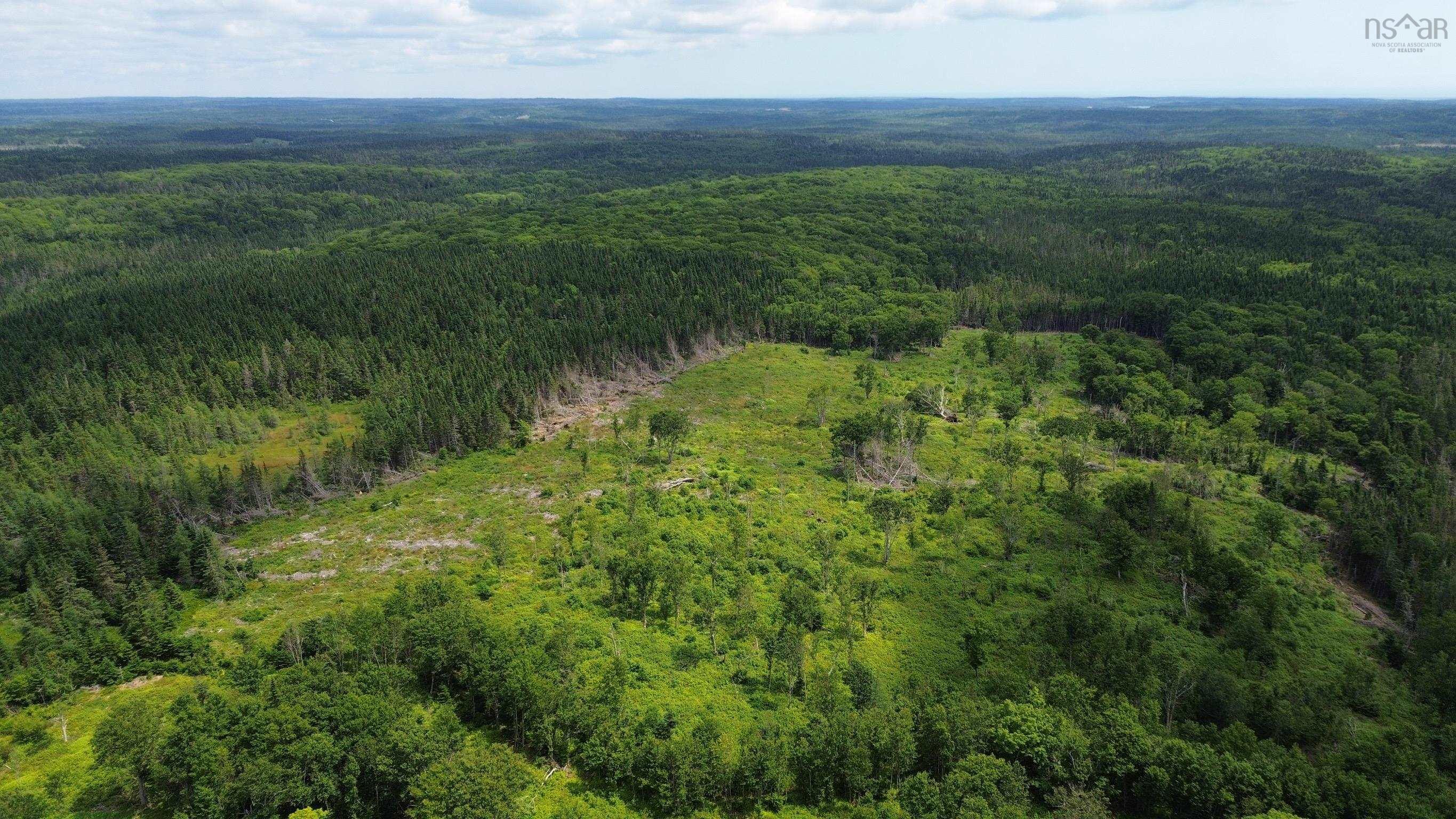 $119,000.00: Lot Shaws Road, Lewis Cove Road